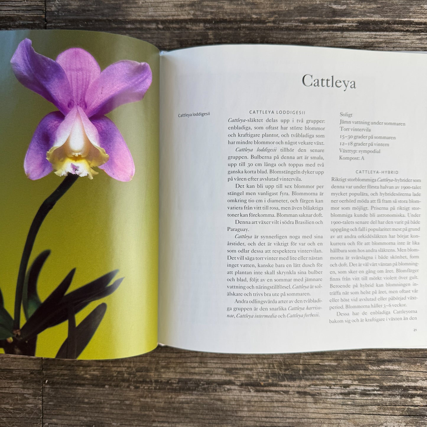 Bedårande Orkidéer, Swedish Orchid Guide, 2002 Hardcover