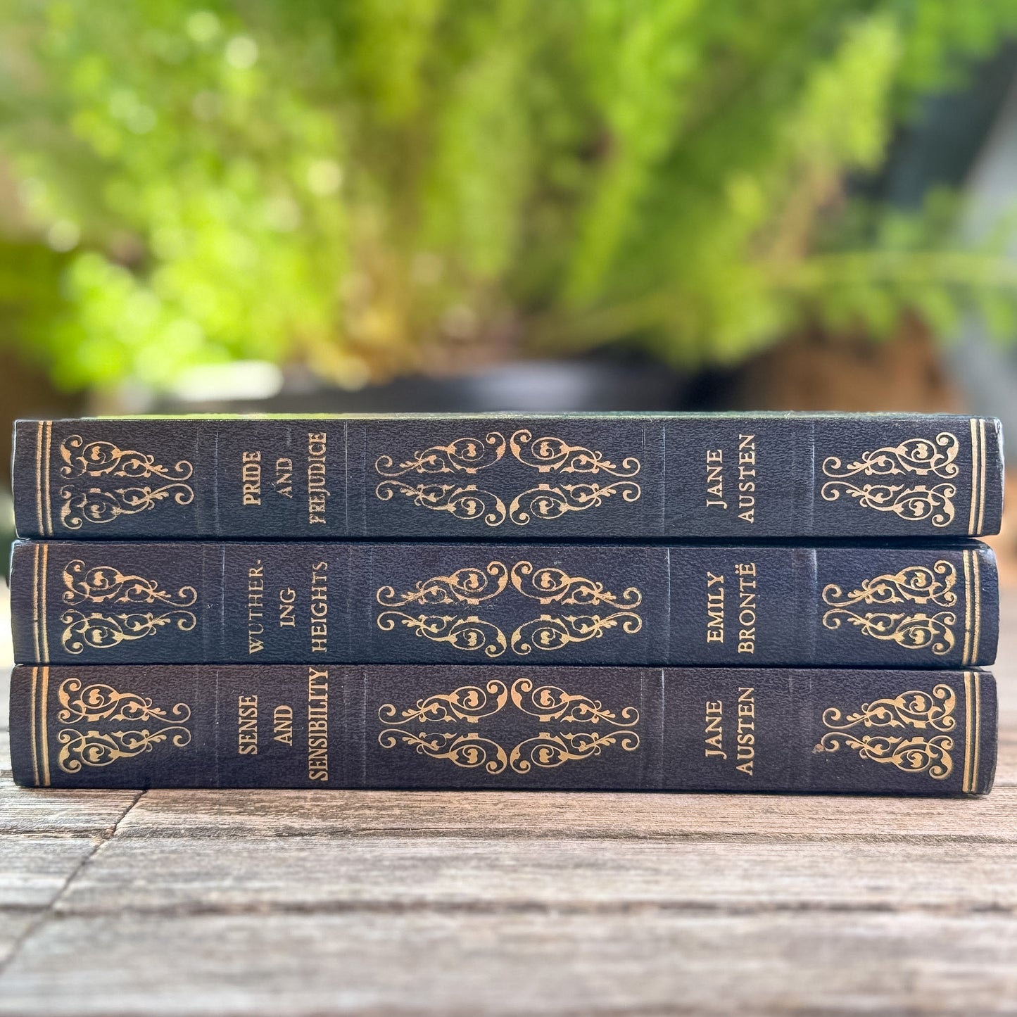Sense and Sensibility, Pride and Prejudice, and Wuthering Heights, Jane Austen and Emily Brontë, Heron Books Edition
