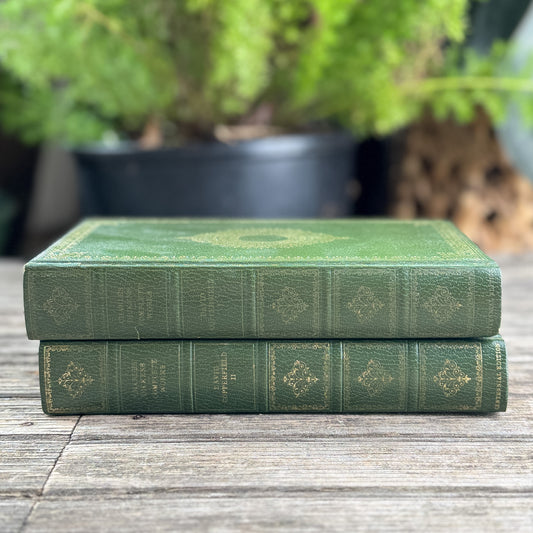 Vintage David Copperfield 2-Volume Set by Charles Dickens, Heron Books Centennial Edition