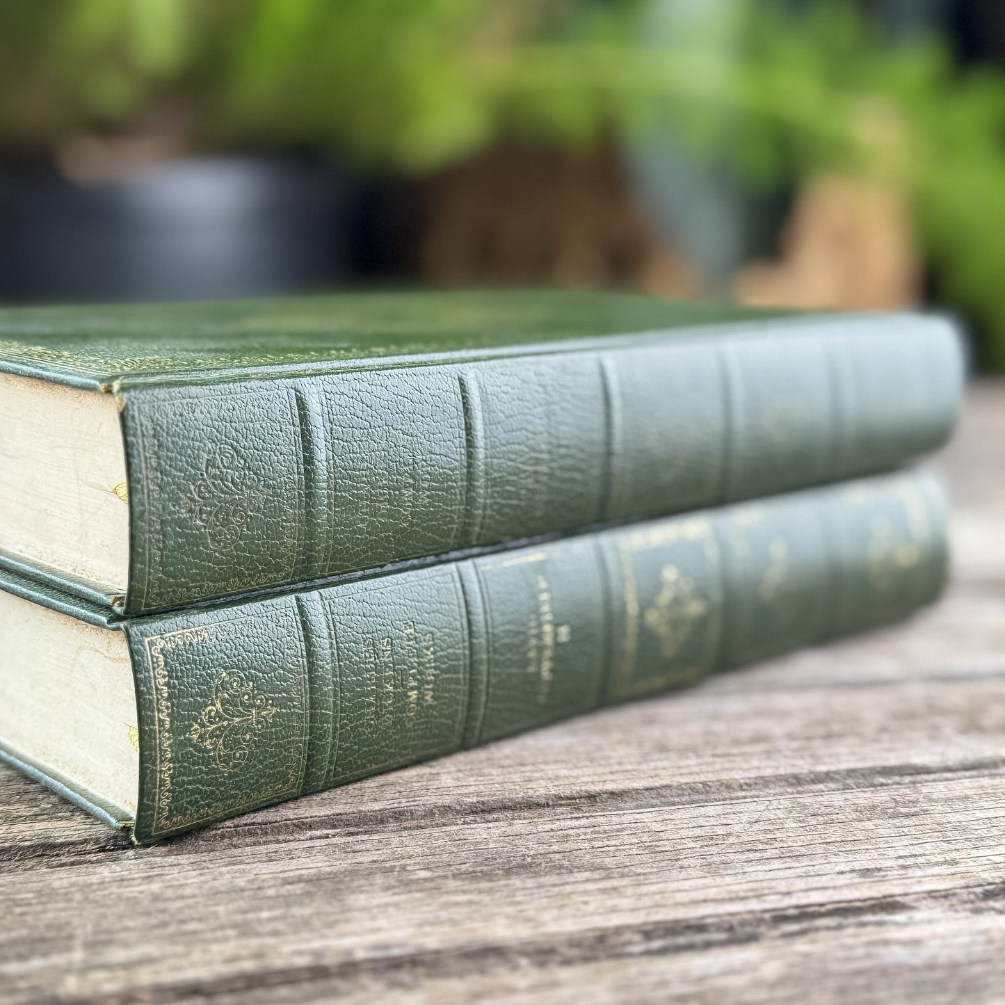 Vintage David Copperfield 2-Volume Set by Charles Dickens, Heron Books Centennial Edition