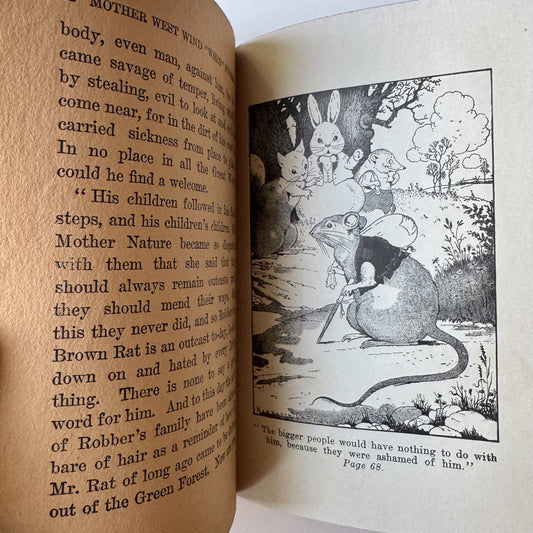 Mother West Wind "When" Stories by Thornton W. Burgess (1917)