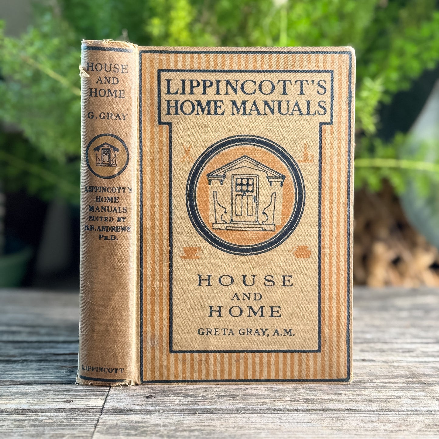 House and Home, Greta Gray, 1927 Lippincott Second Edition Home Economics Textbook