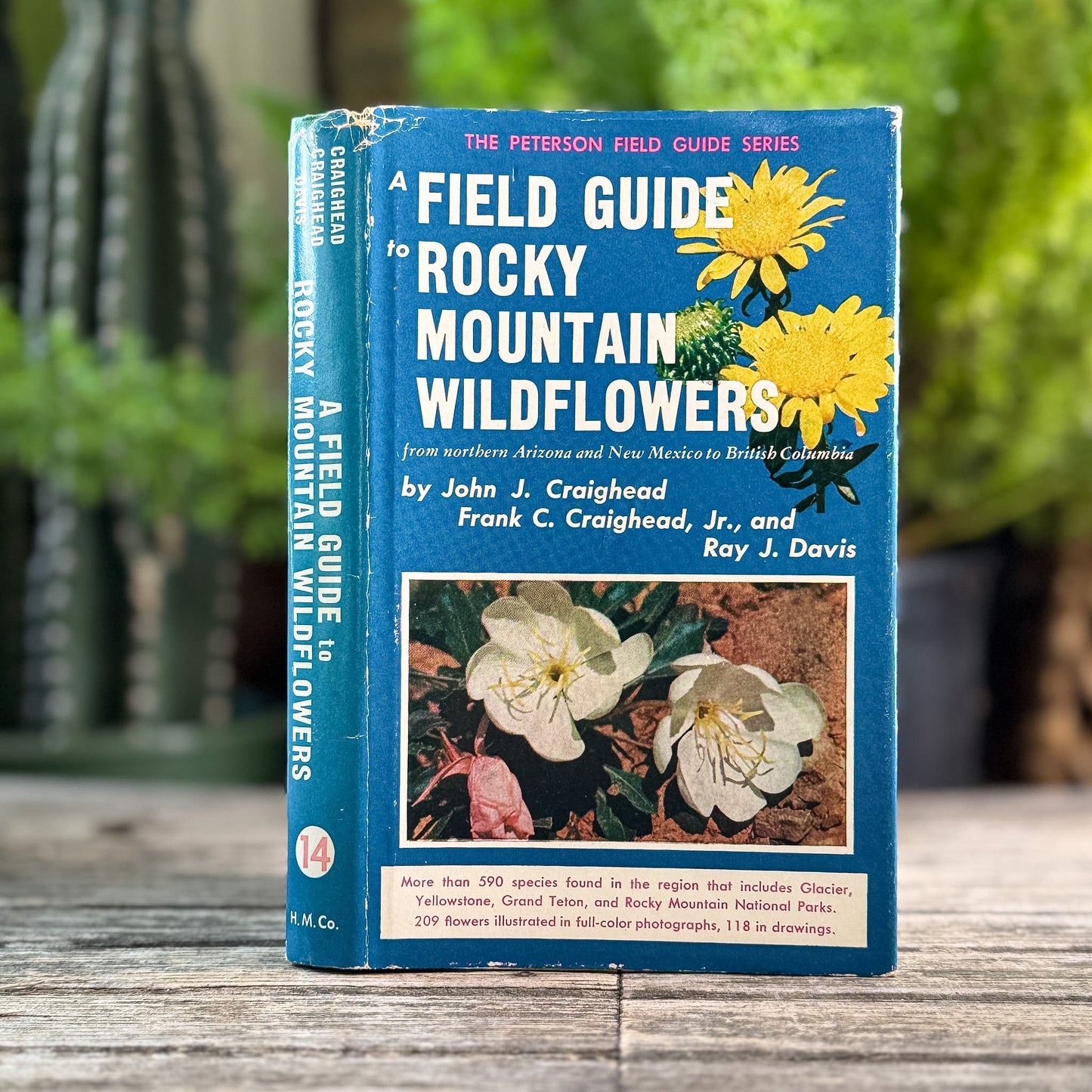A Field Guide to Rocky Mountain Wildflowers, John J. Craighead, Frank C. Craighead Jr., and Ray J. Davis, 1963 - Pretty Old Books