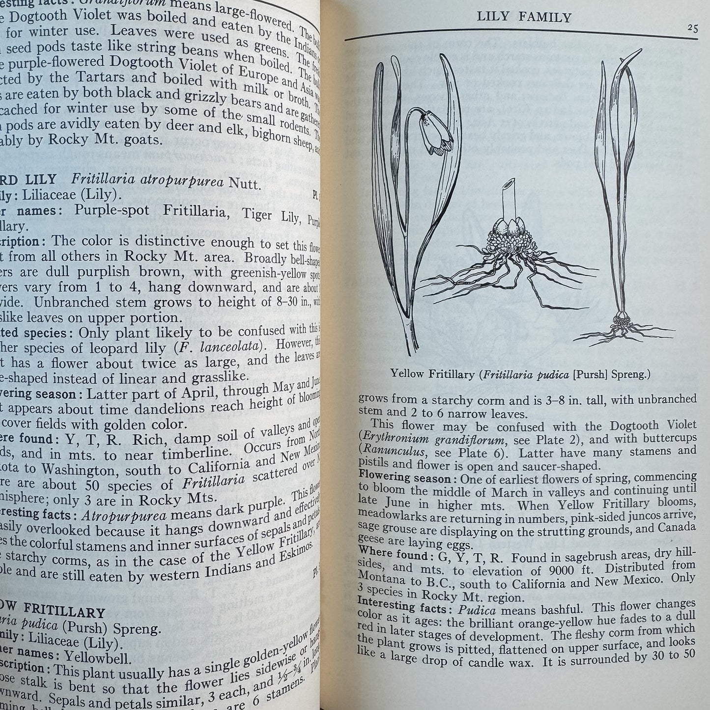 A Field Guide to Rocky Mountain Wildflowers, John J. Craighead, Frank C. Craighead Jr., and Ray J. Davis, 1963 - Pretty Old Books
