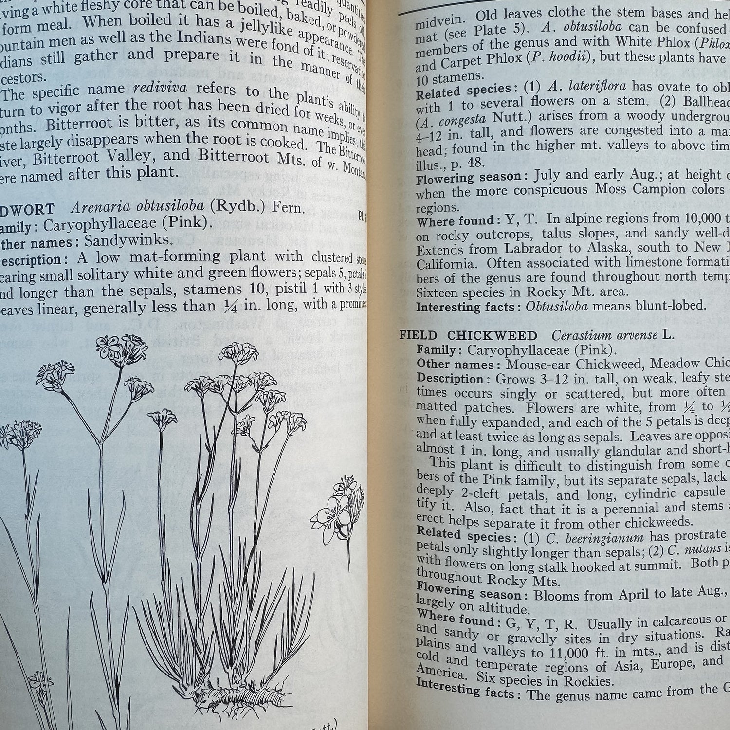 A Field Guide to Rocky Mountain Wildflowers, John J. Craighead, Frank C. Craighead Jr., and Ray J. Davis, 1963 - Pretty Old Books
