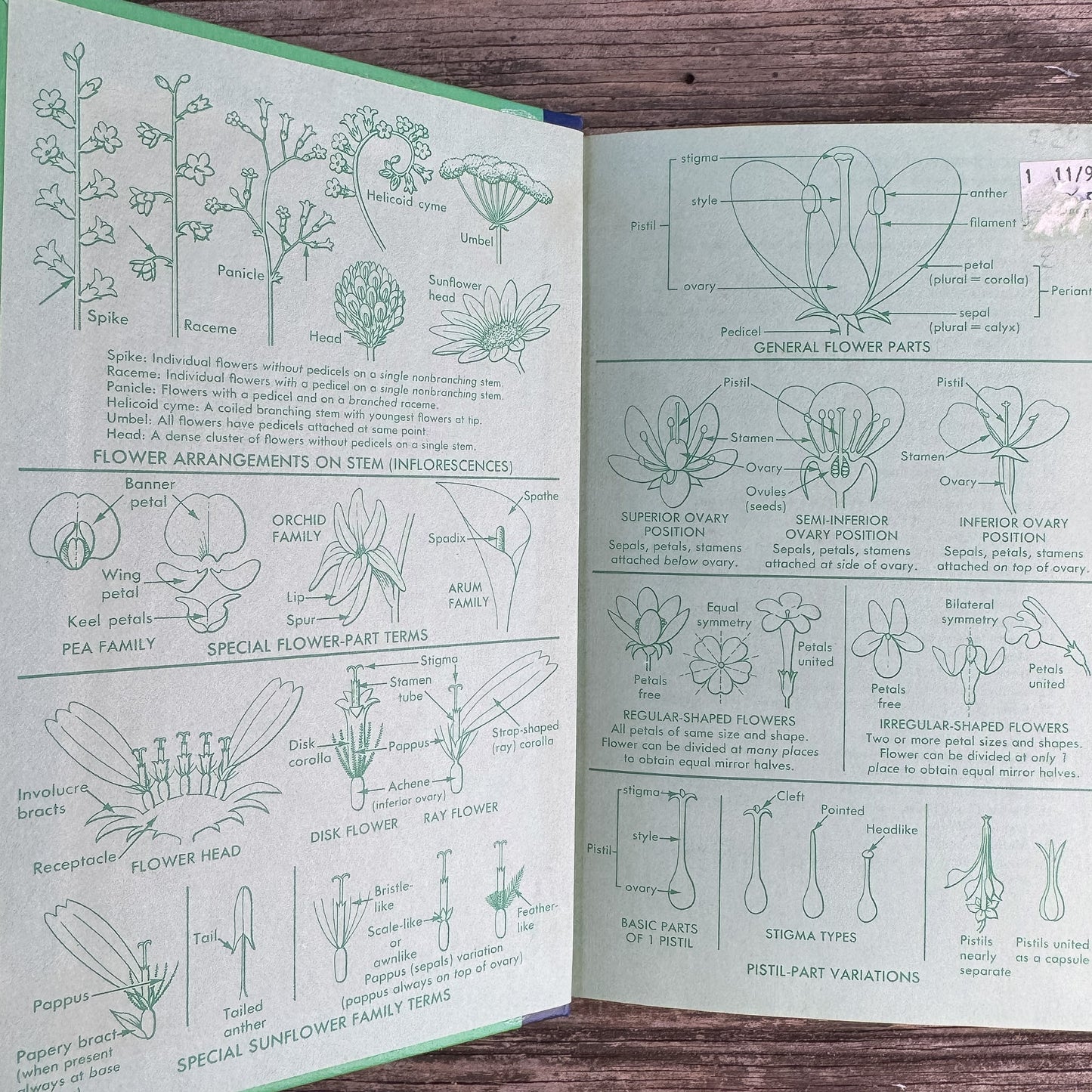 A Field Guide to Southwestern and Texas Wildflowers, Niehaus, Ripper, and Savage, 1984 - Pretty Old Books