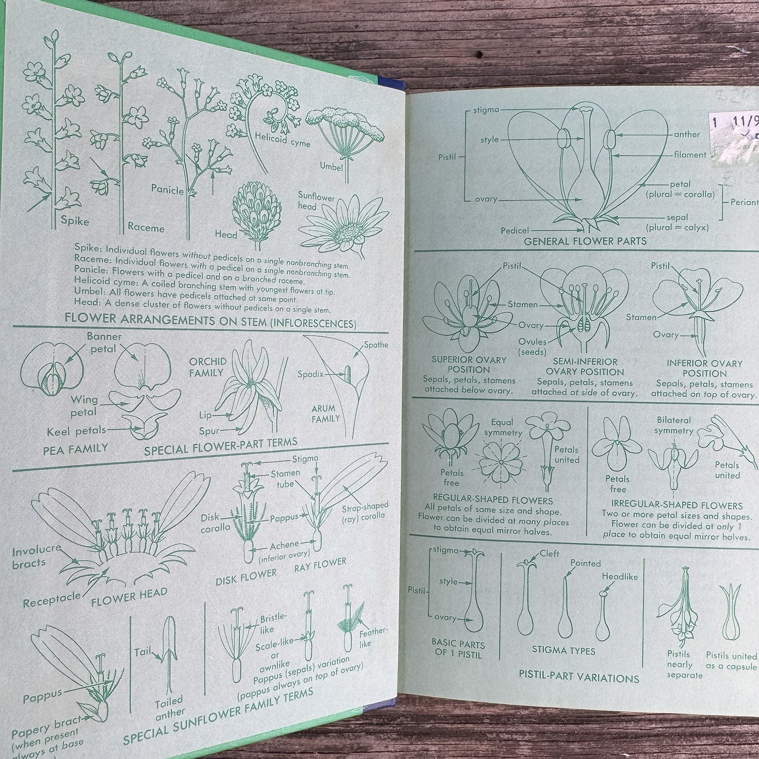 A Field Guide to Southwestern and Texas Wildflowers, Niehaus, Ripper, and Savage, 1984 - Pretty Old Books
