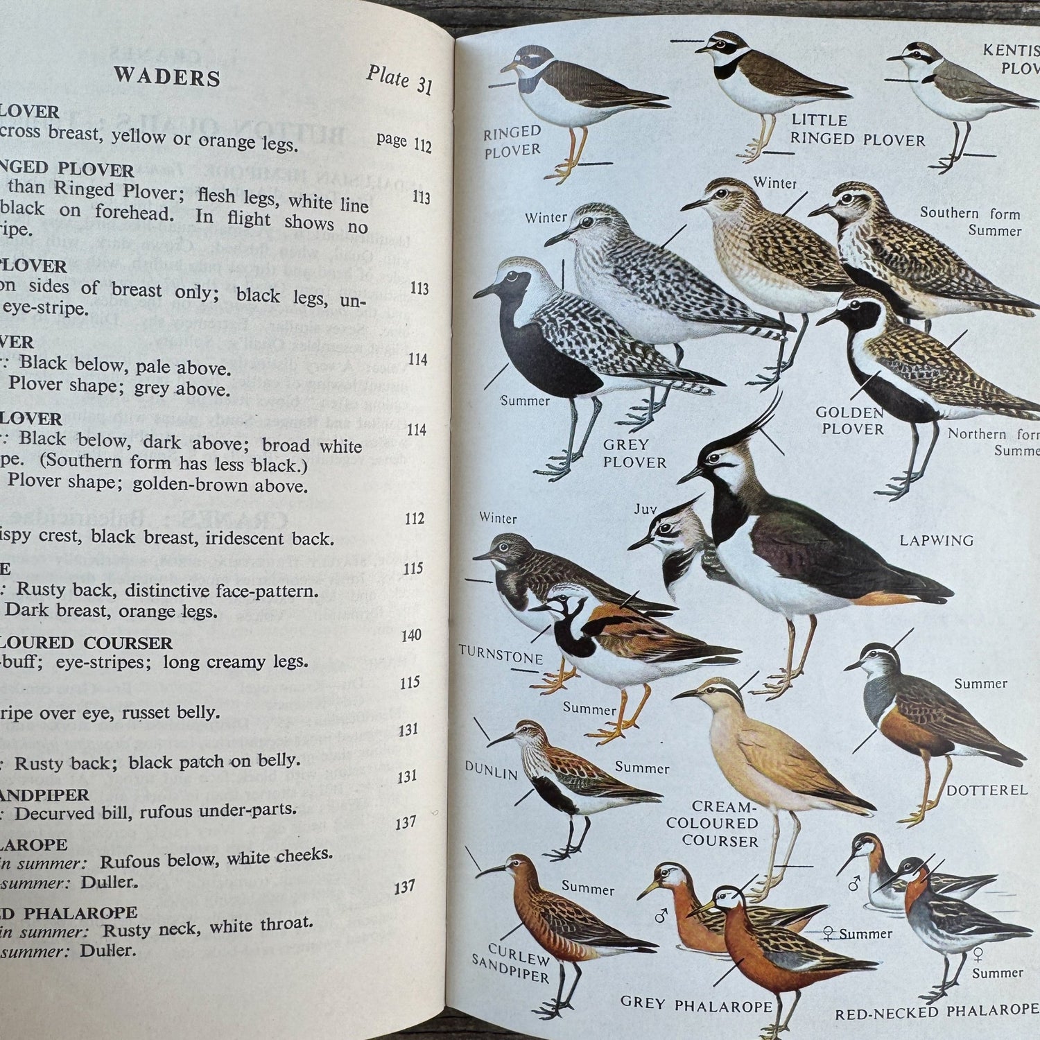 A Field Guide to the Birds of Britain and Europe by Roger Peterson, 1954 Hardcover with Dust Jacket - Pretty Old Books