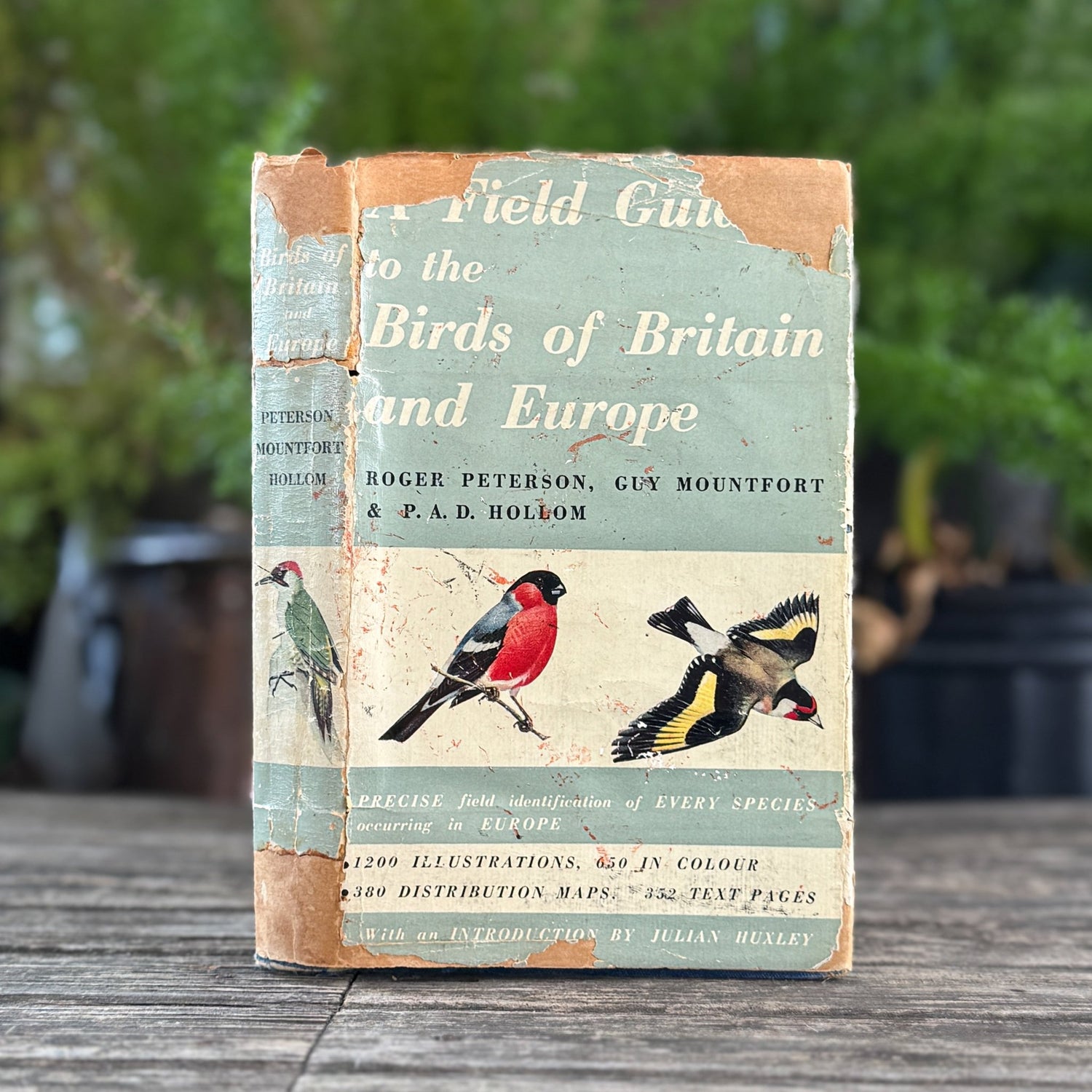 Vintage Non-Fiction Books