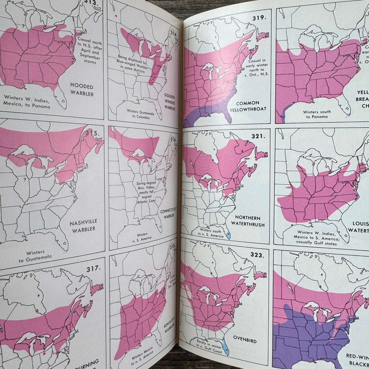 A Field Guide to the Birds, Roger Tory Peterson, Hardcover 1980 - Pretty Old Books