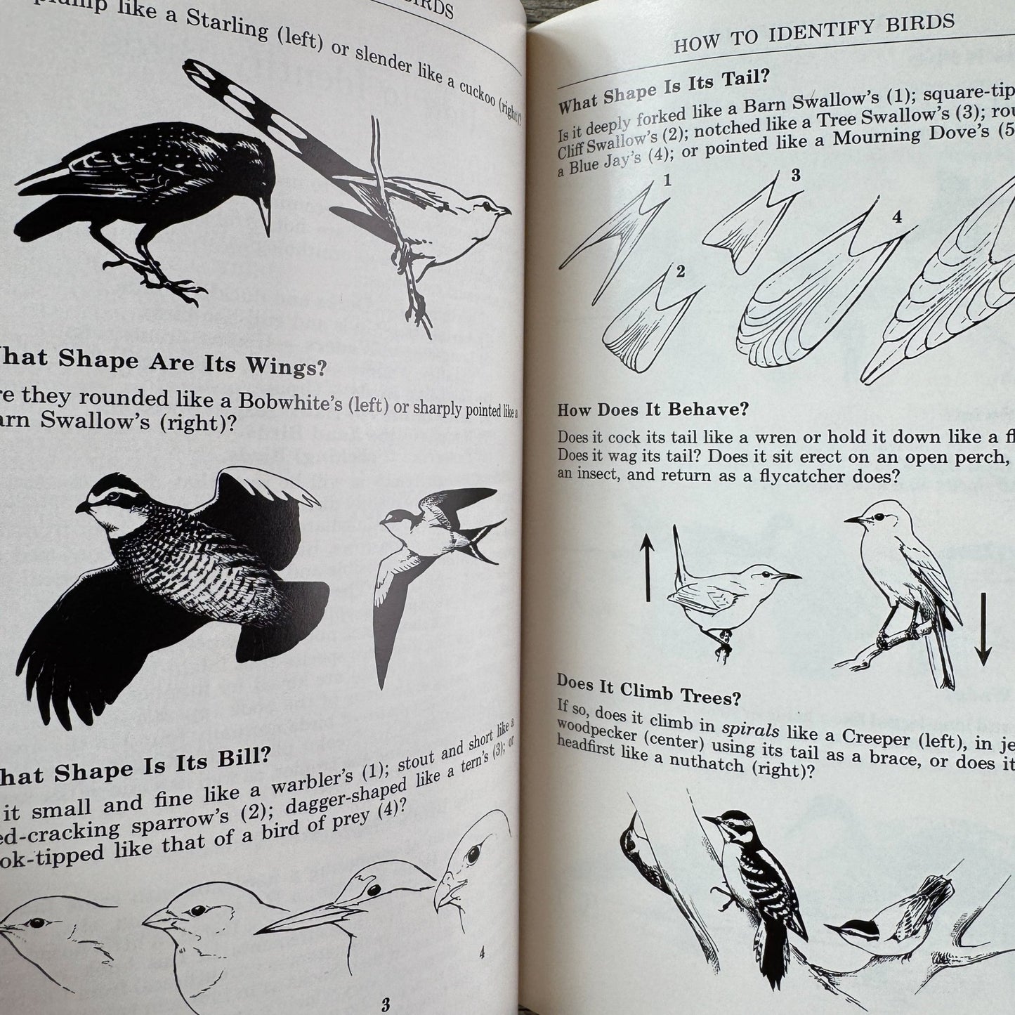 A Field Guide to the Birds, Roger Tory Peterson, Hardcover 1980 - Pretty Old Books