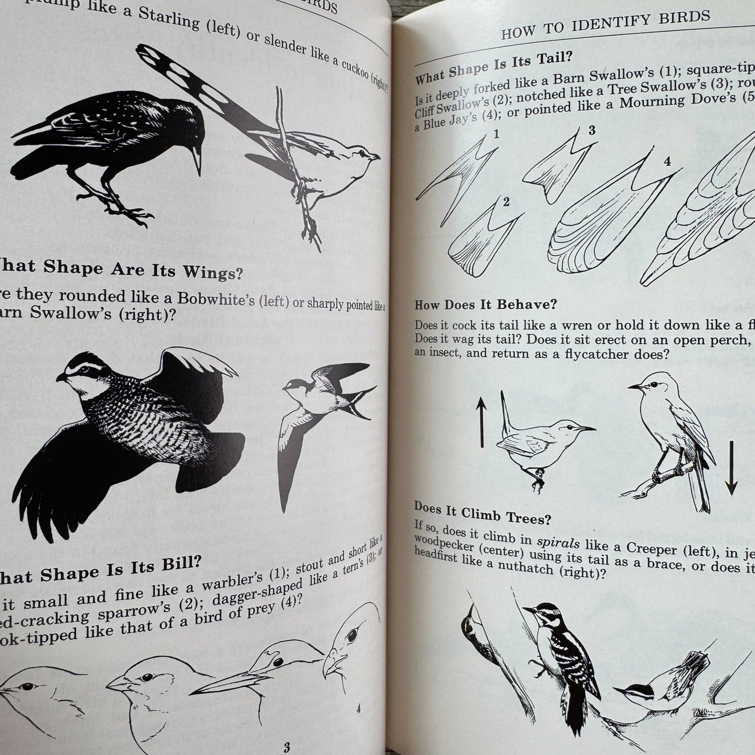 A Field Guide to the Birds, Roger Tory Peterson, Hardcover 1980 - Pretty Old Books