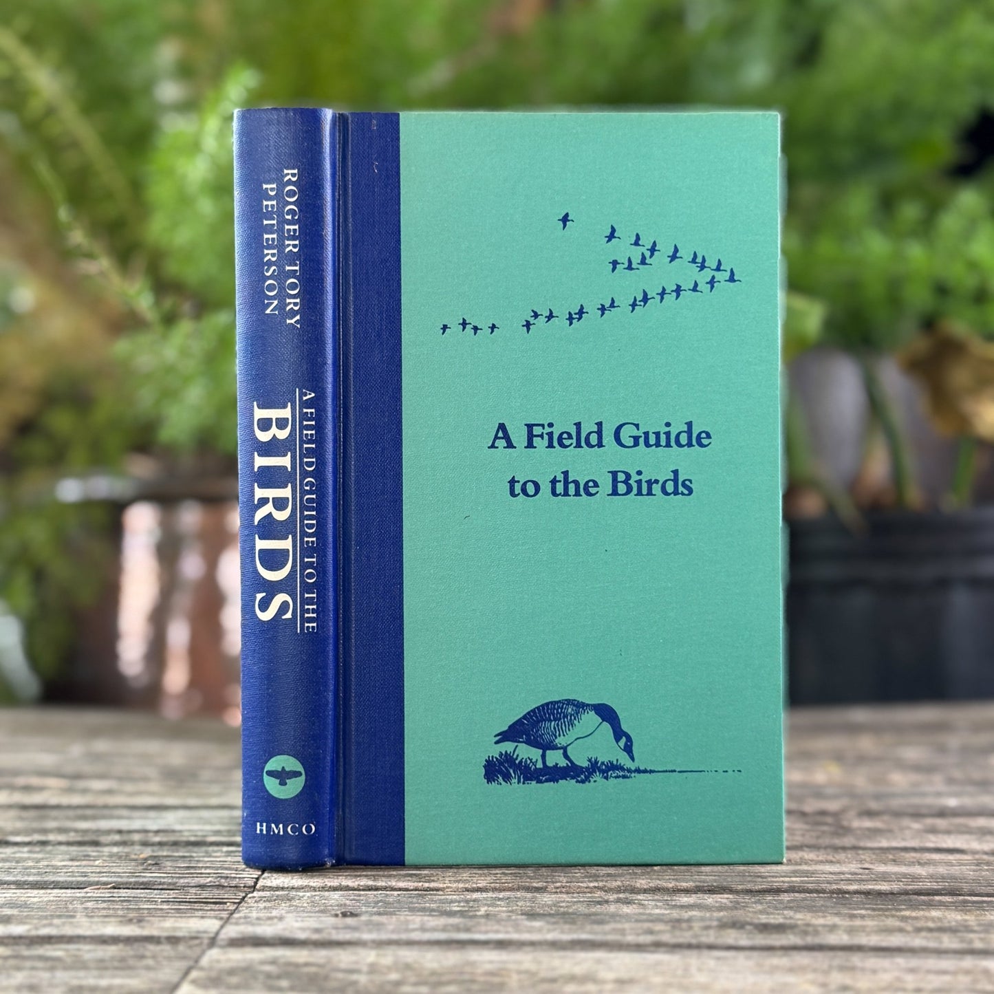 A Field Guide to the Birds, Roger Tory Peterson, Hardcover 1980 - Pretty Old Books