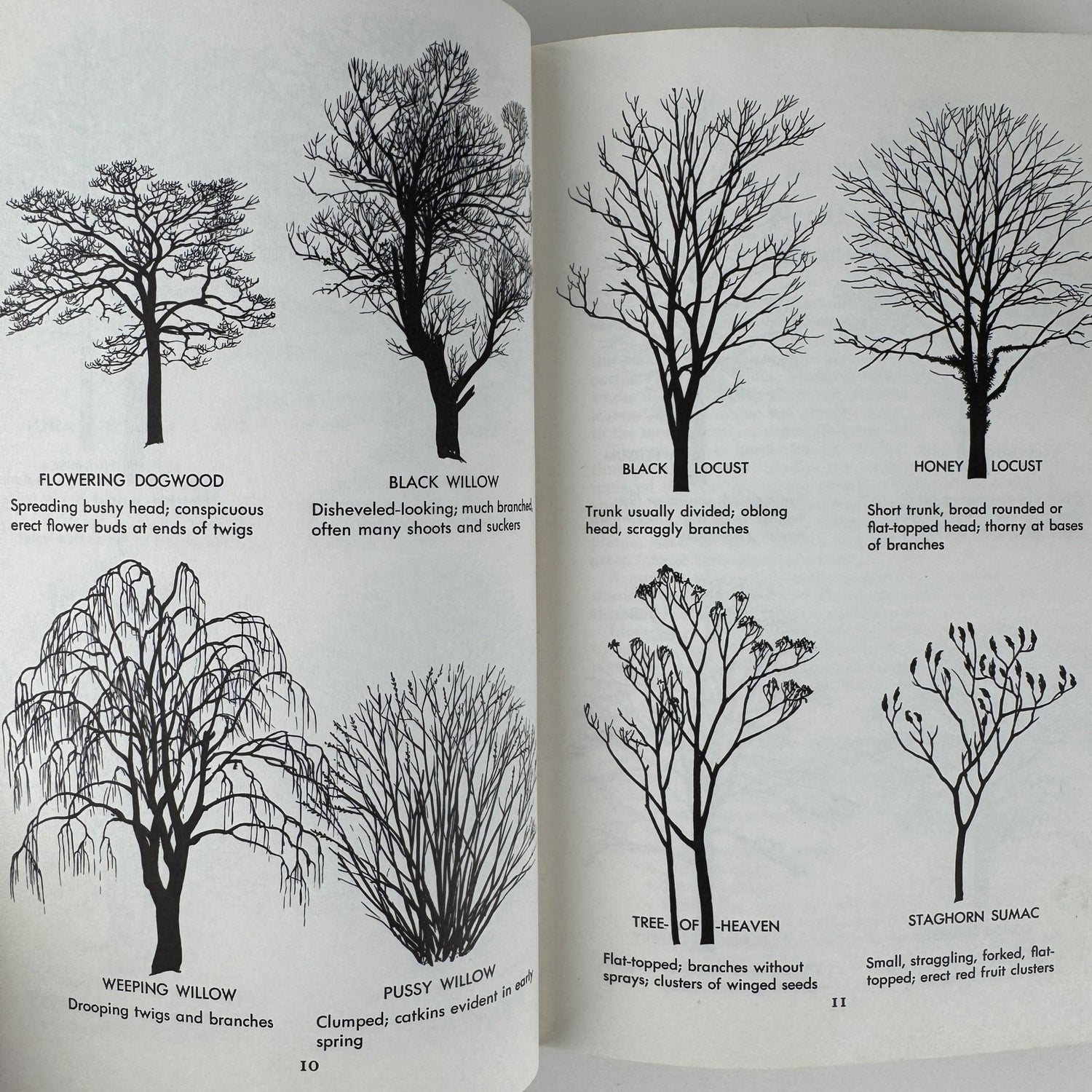 A Field Guide to Trees and Shrubs, Roger Tory Peterson 1958 Hardcover First Edition - Pretty Old Books