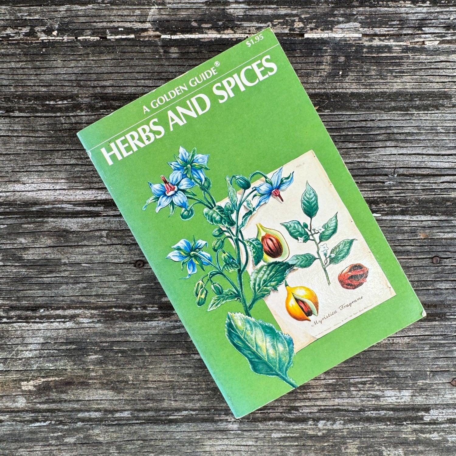 Vintage Nature Study Books