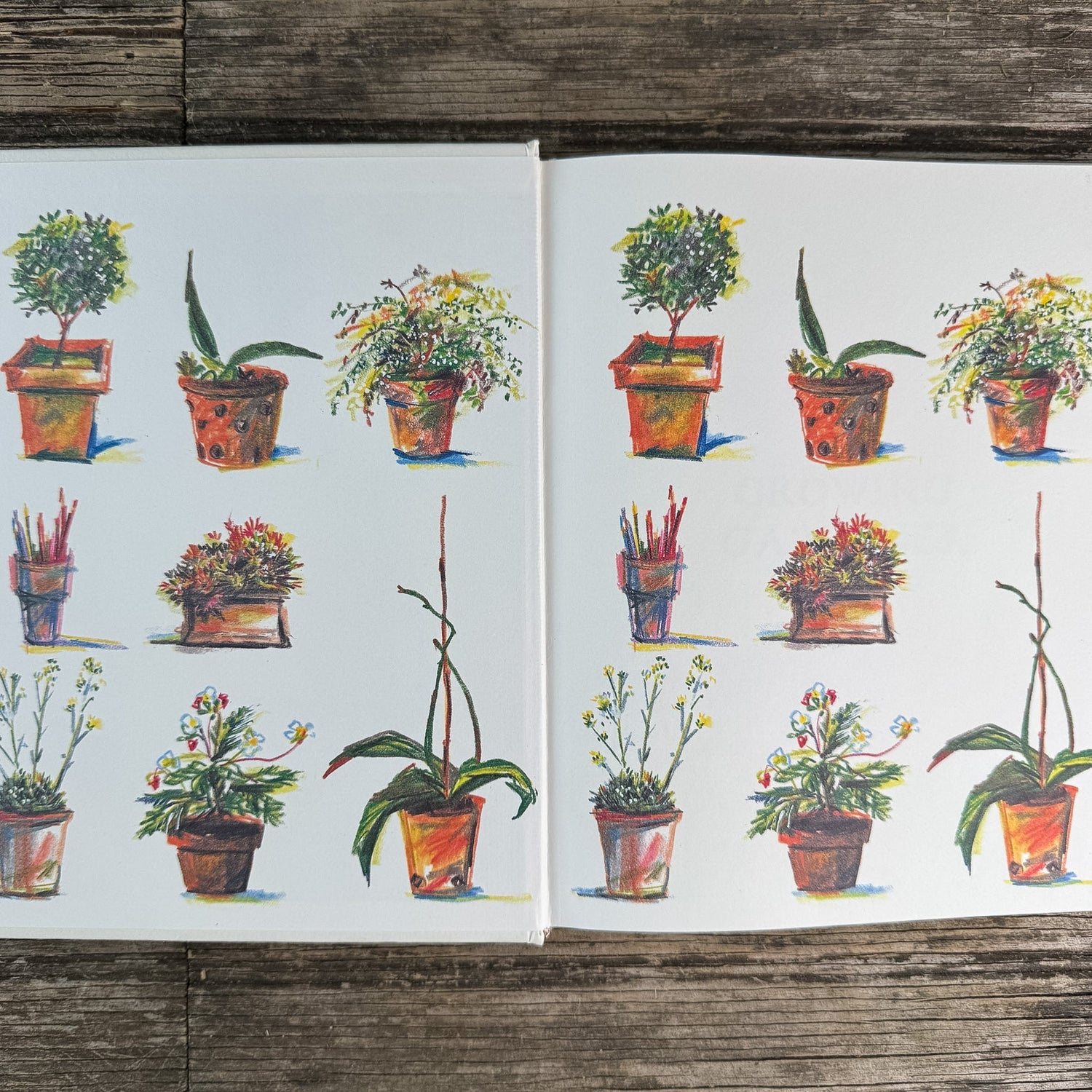 A Growing Gardener, Abbie Zabar, 1996 - Pretty Old Books