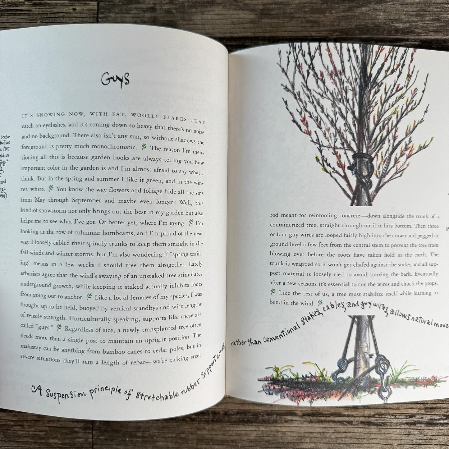 A Growing Gardener, Abbie Zabar, 1996 - Pretty Old Books