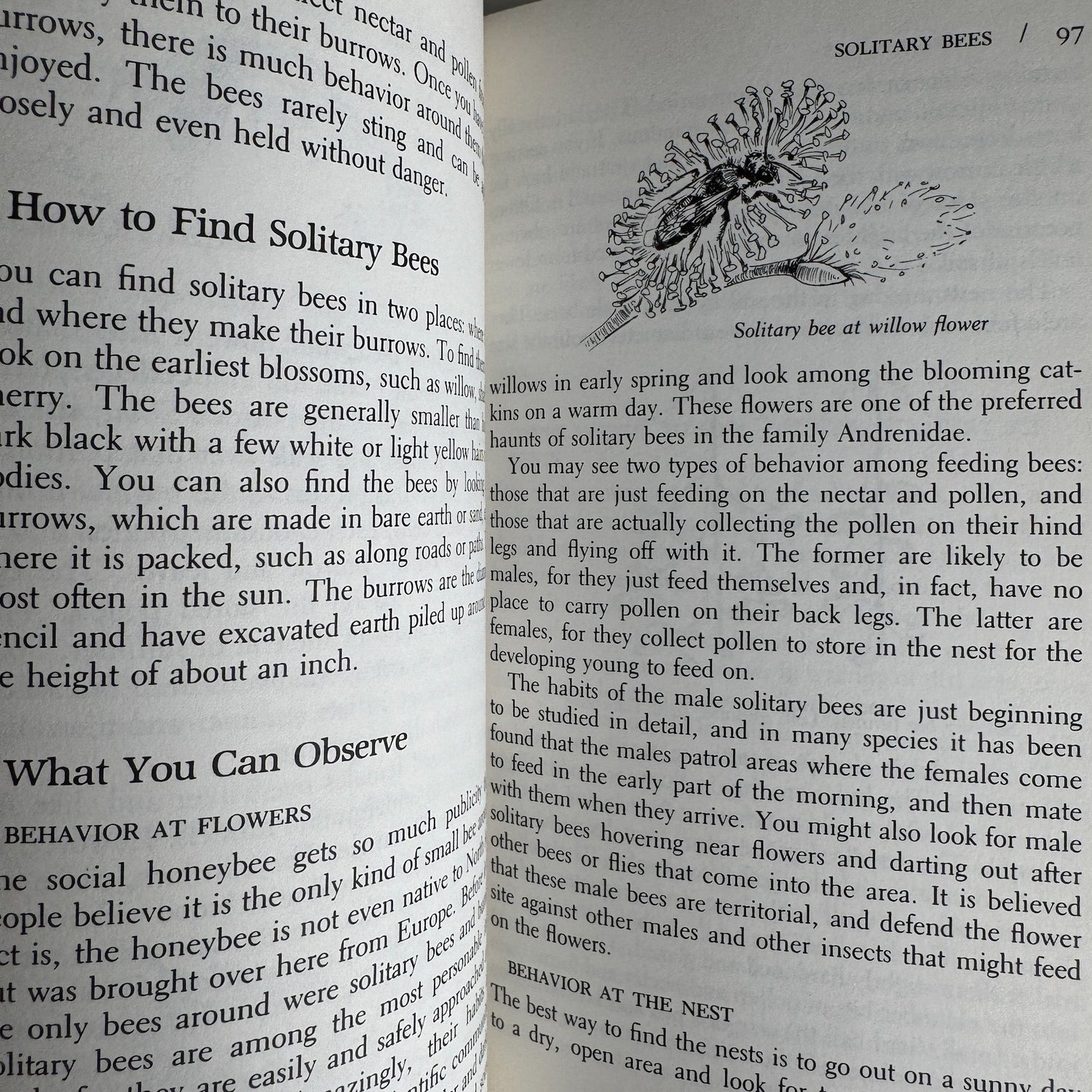 A Guide to Observing Insect Lives, Donald W. Stokes, 1983, Hardcover - Pretty Old Books