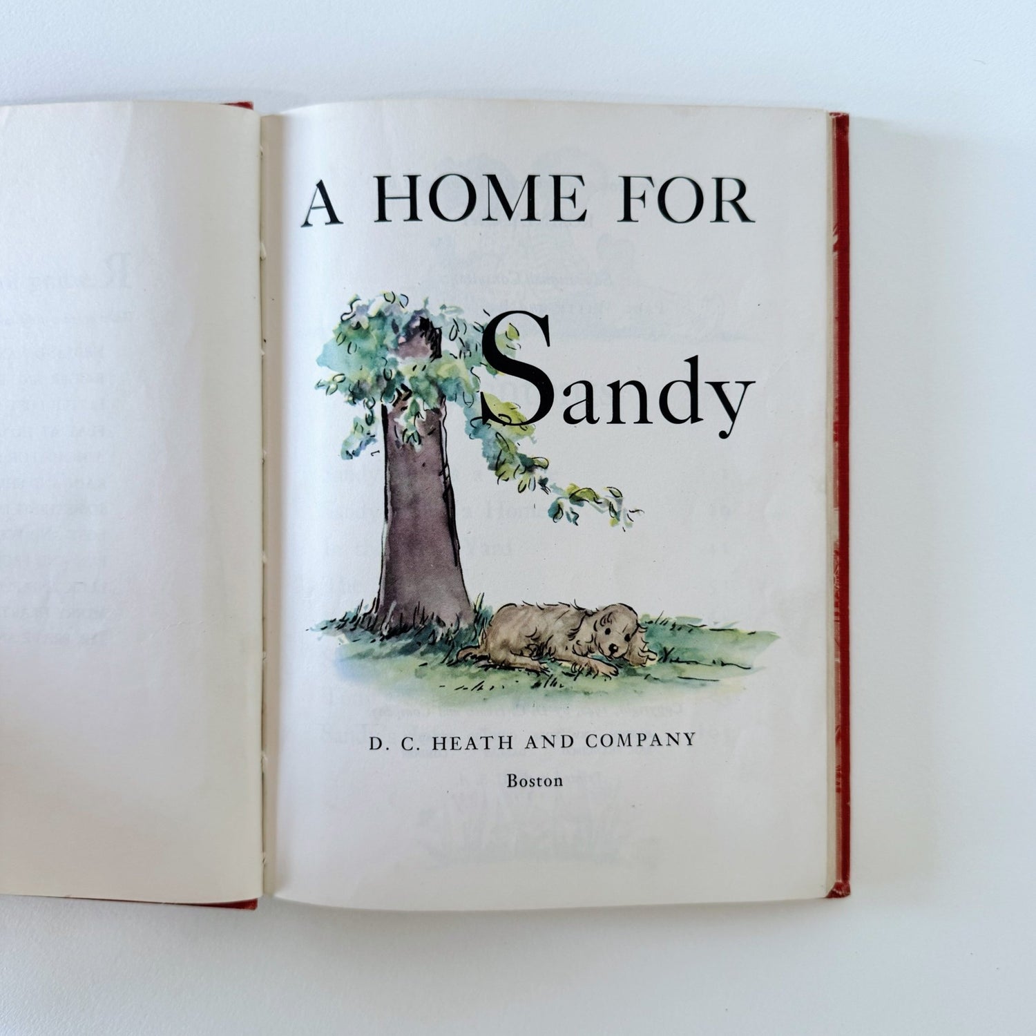 A Home For Sandy, Reading For Interest Series, Early Reader, 1942 - Pretty Old Books