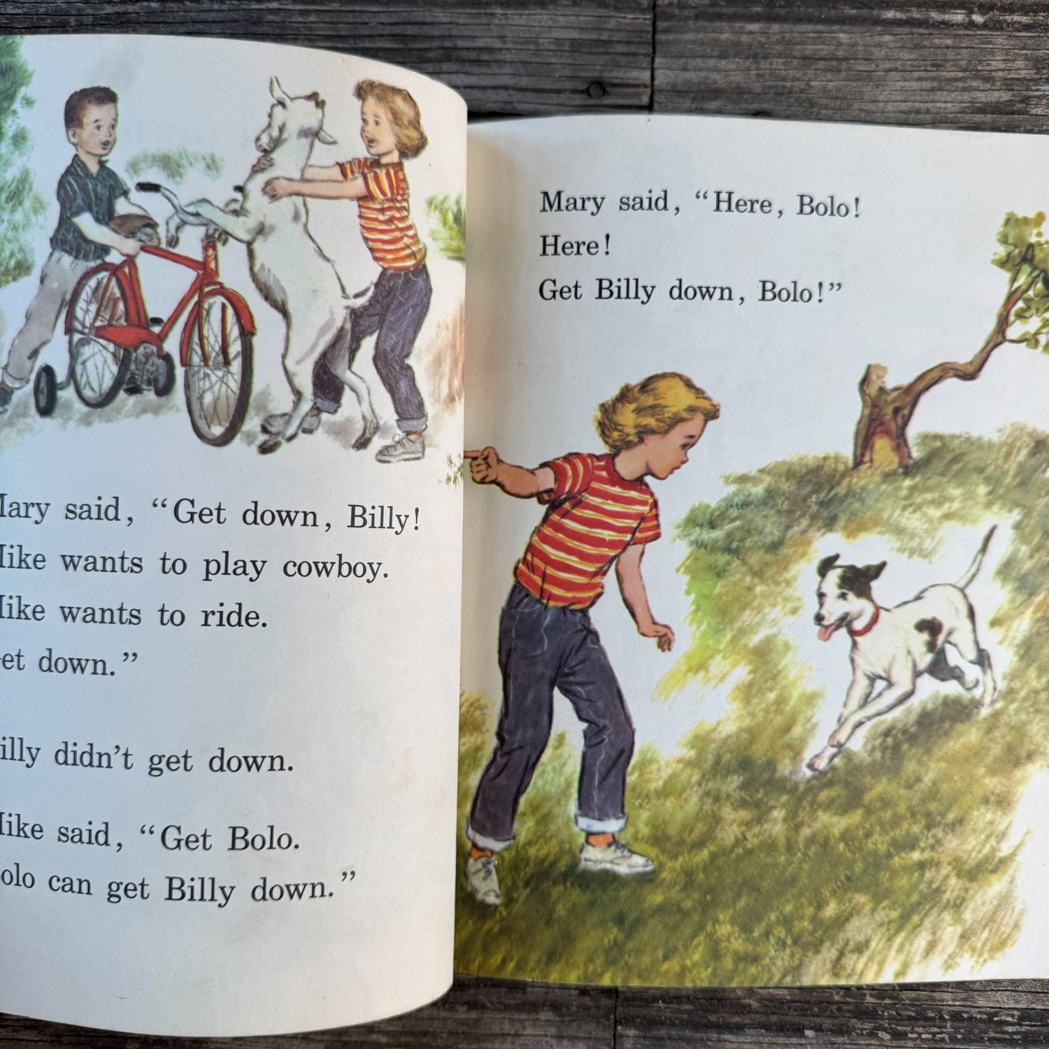 A Magic Box, Macmillan Reading Program Preprimer 2, 1965 - Pretty Old Books
