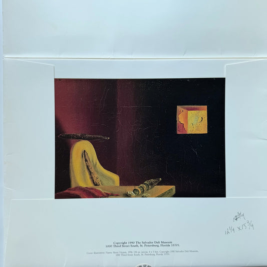 A Portfolio of Works from The Salvador Dali Museum, 12 Prints, 12.25 x 15.34 Inches - Pretty Old Books