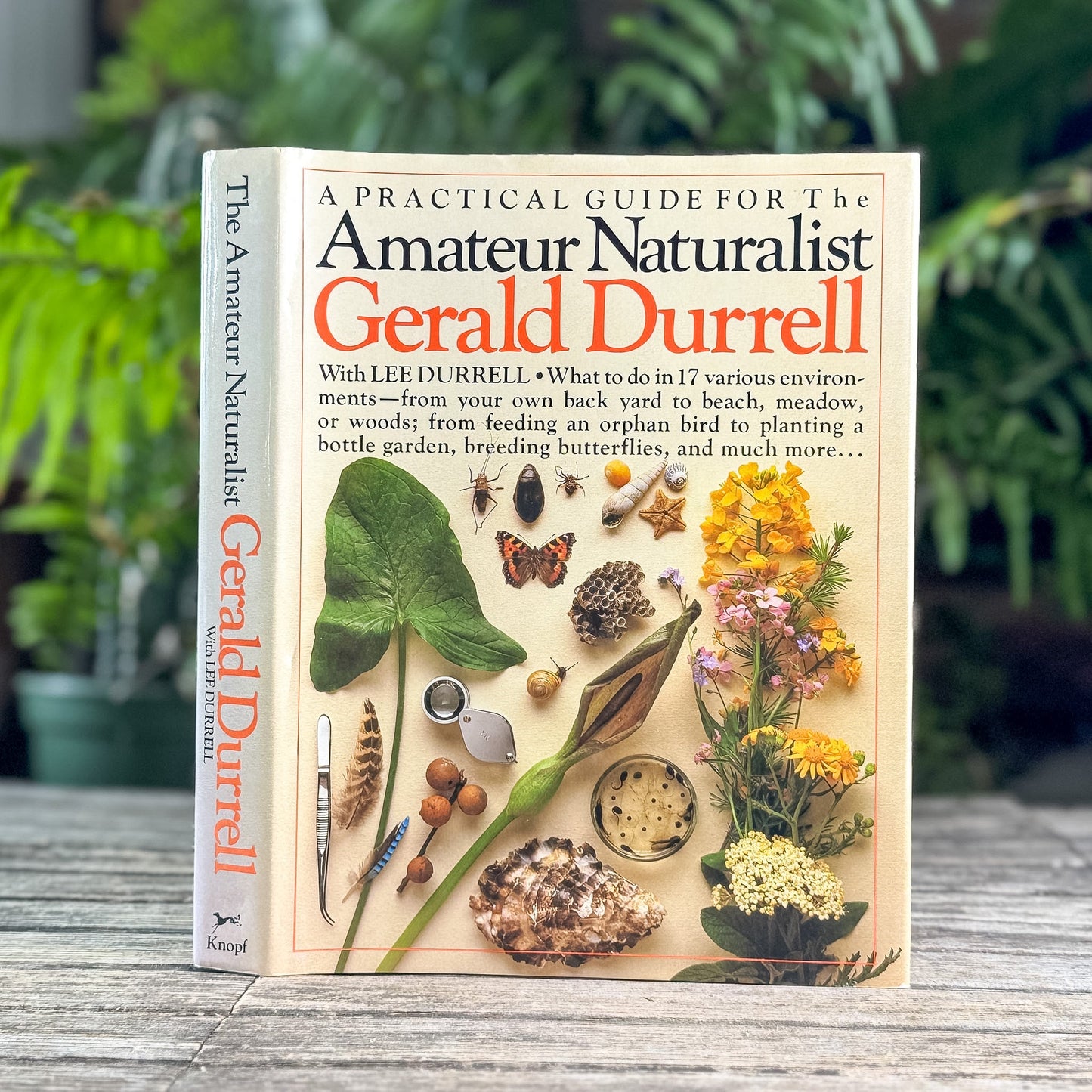 A Practical Guide for the Amateur Naturalist, Gerald Durrell, 1982 - Pretty Old Books