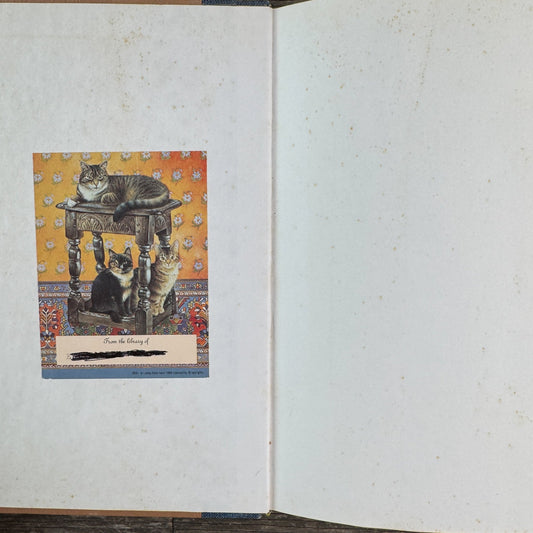 A Scientist at the Seashore, 1984, Physics of Waves, Nature Study - Pretty Old Books