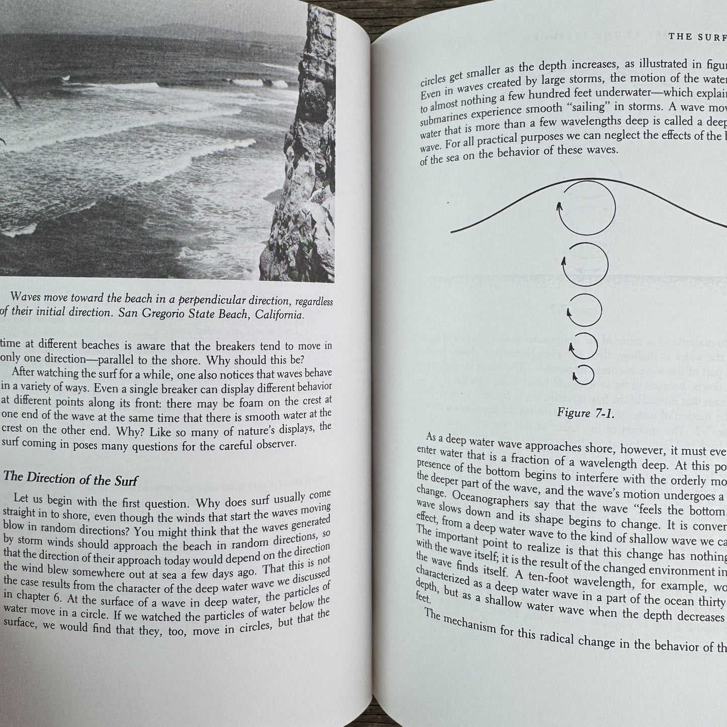 A Scientist at the Seashore, 1984, Physics of Waves, Nature Study - Pretty Old Books
