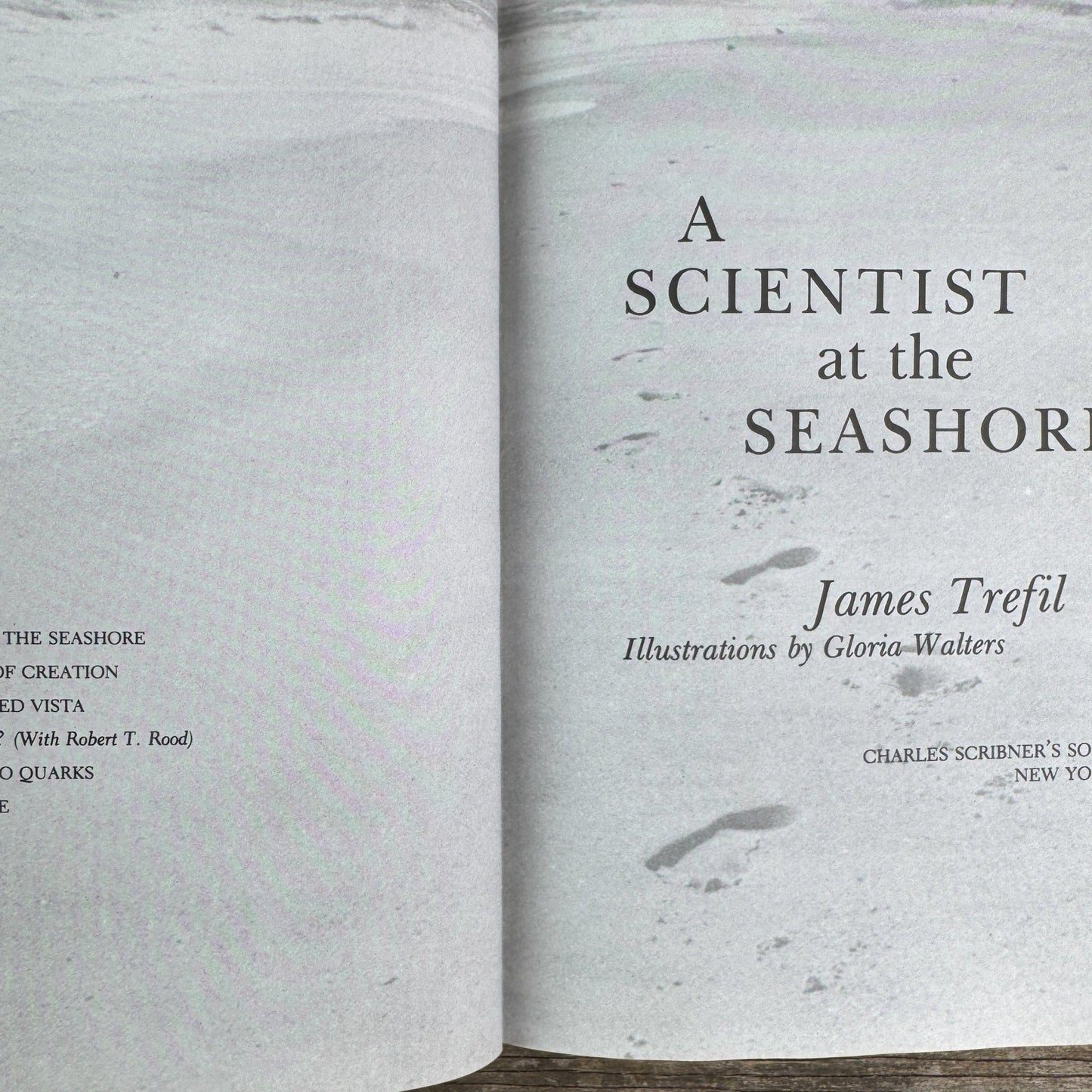 A Scientist at the Seashore, 1984, Physics of Waves, Nature Study - Pretty Old Books