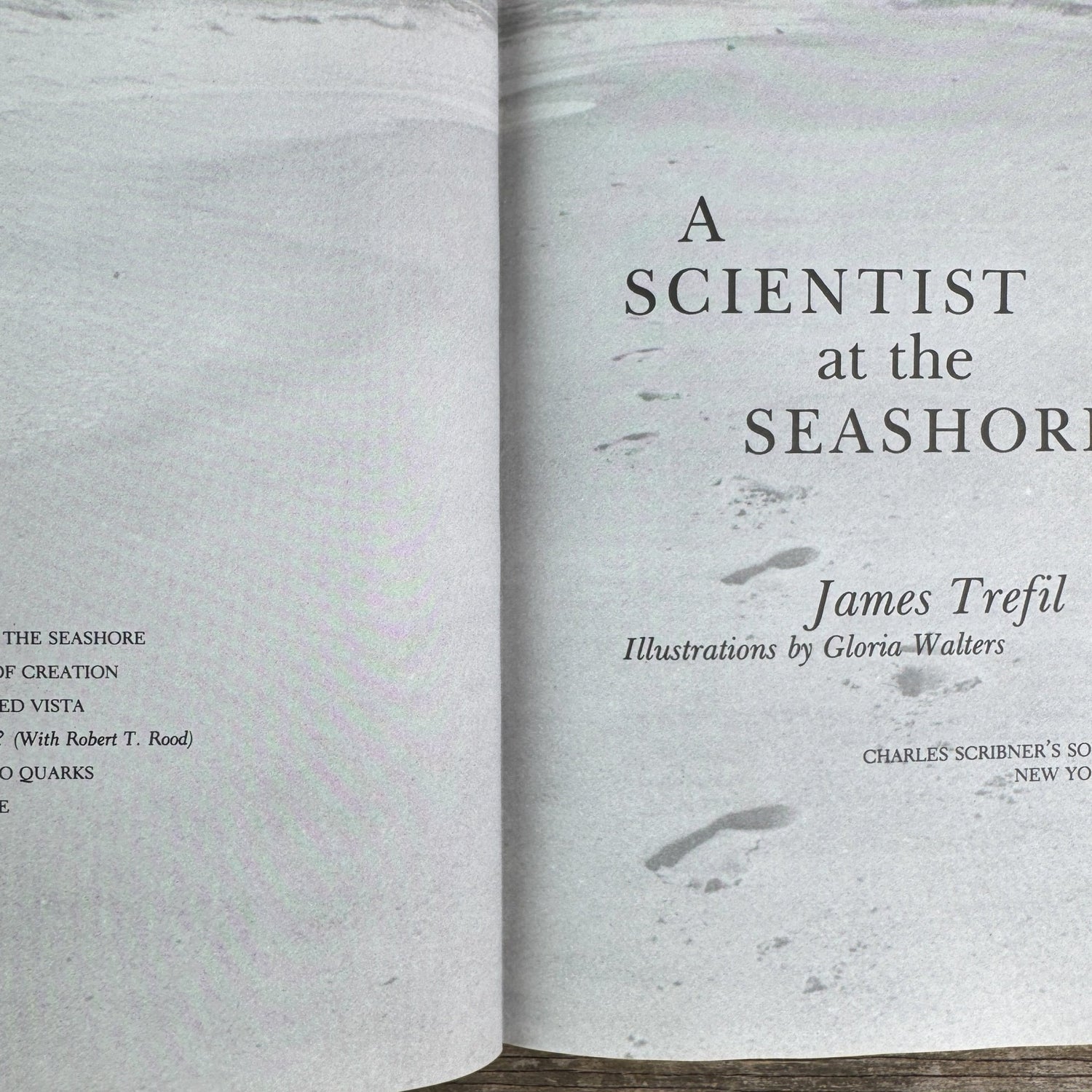 A Scientist at the Seashore, 1984, Physics of Waves, Nature Study - Pretty Old Books