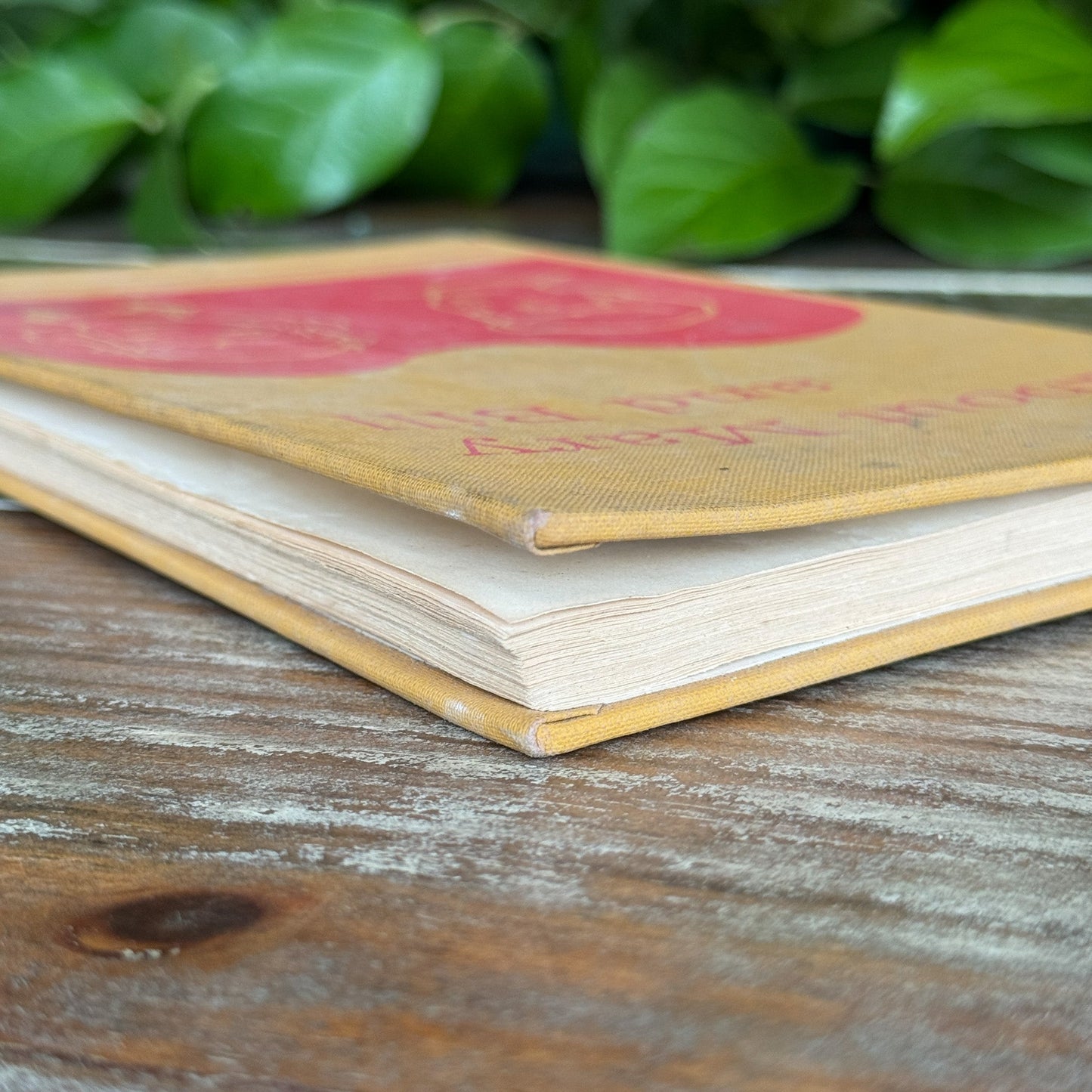 About Mary and Bill, 1963 Early Elementary Reader - Pretty Old Books