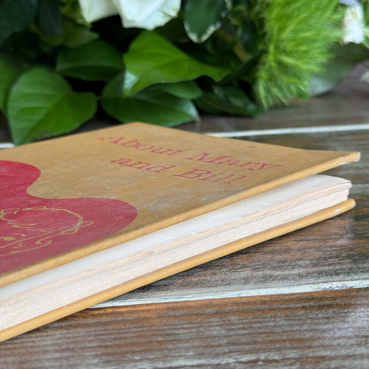 About Mary and Bill, 1963 Early Elementary Reader - Pretty Old Books