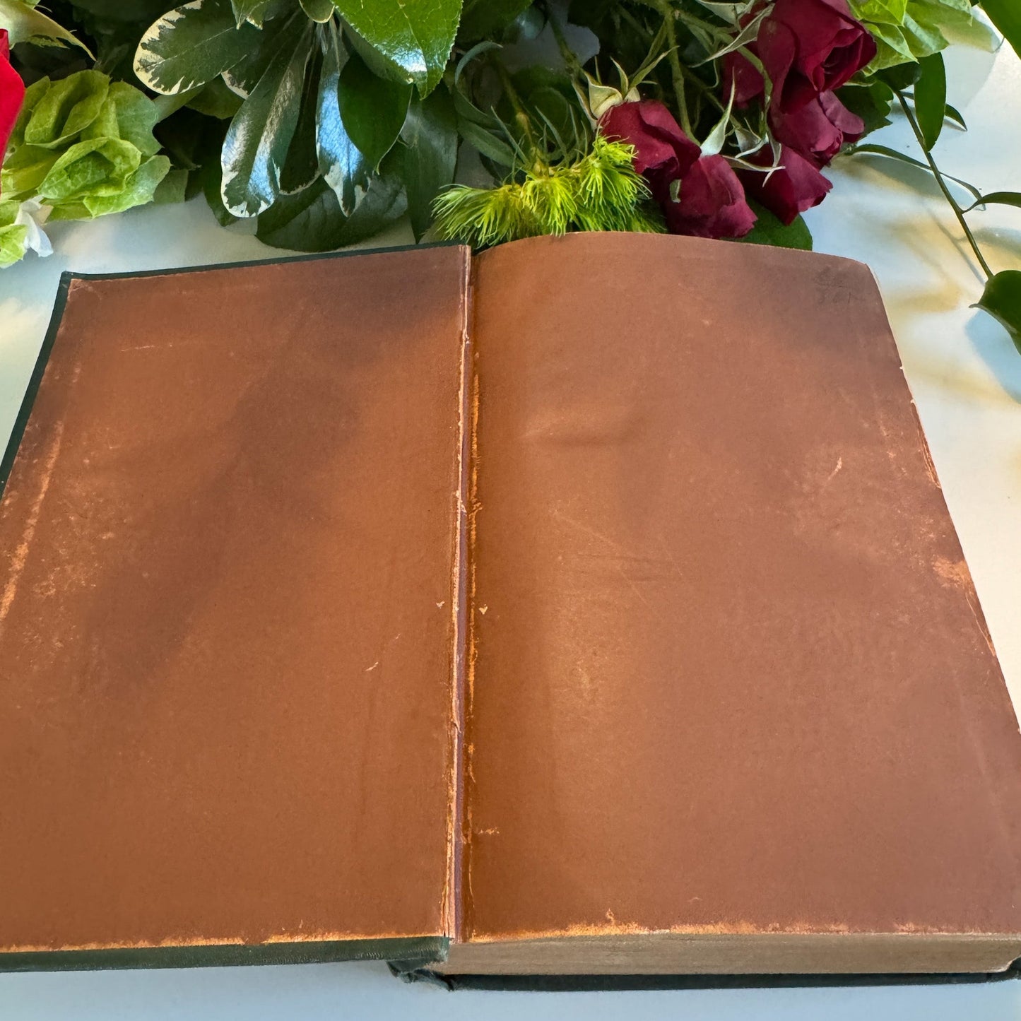 Alice or The Mysteries, Lord Lytton Edition, 1883 - Pretty Old Books