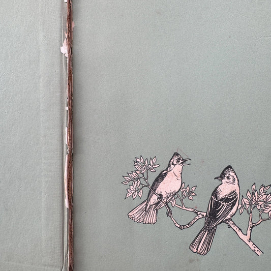 All About Birds, Robert S. Lemmon, 1955, 3rd Printing, Kids Nature Study - Pretty Old Books