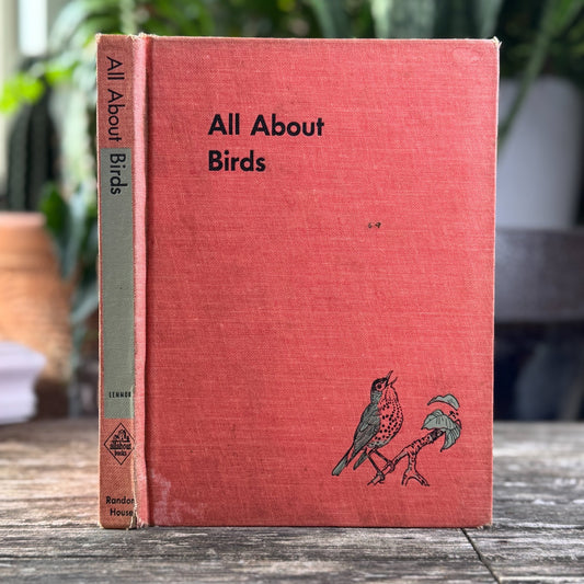 All About Birds, Robert S. Lemmon, 1955, 3rd Printing, Kids Nature Study - Pretty Old Books