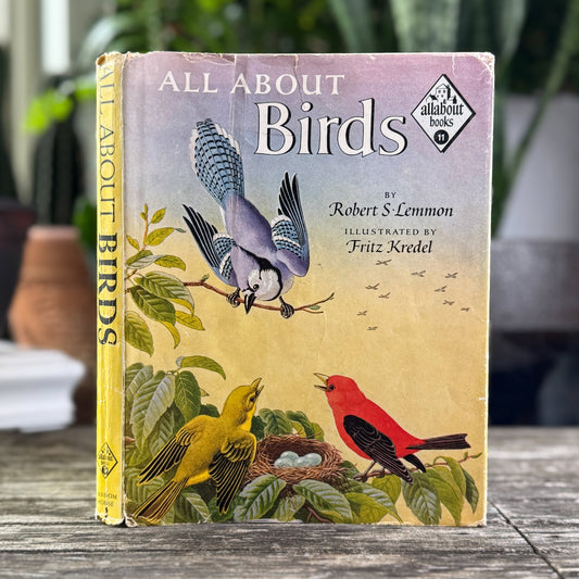 All About Birds, Robert S. Lemmon, 1955 Kids Nature Study - Pretty Old Books