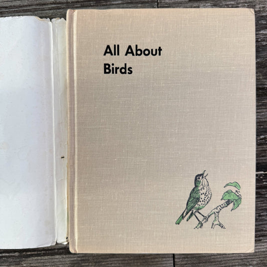 All About Birds, Robert S. Lemmon, 1955 Kids Nature Study - Pretty Old Books