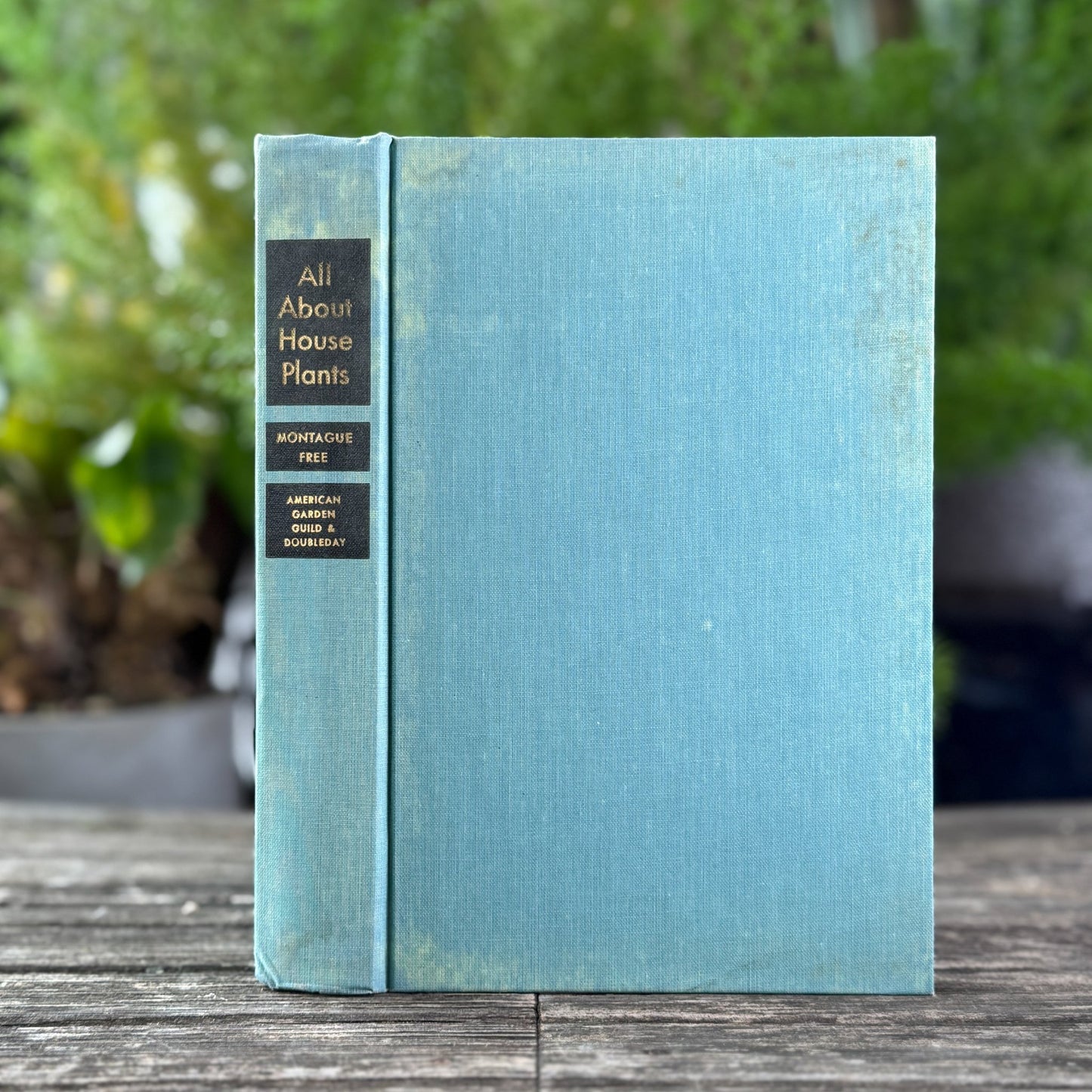 All About House Plants by Montague Free (1946) - Pretty Old Books