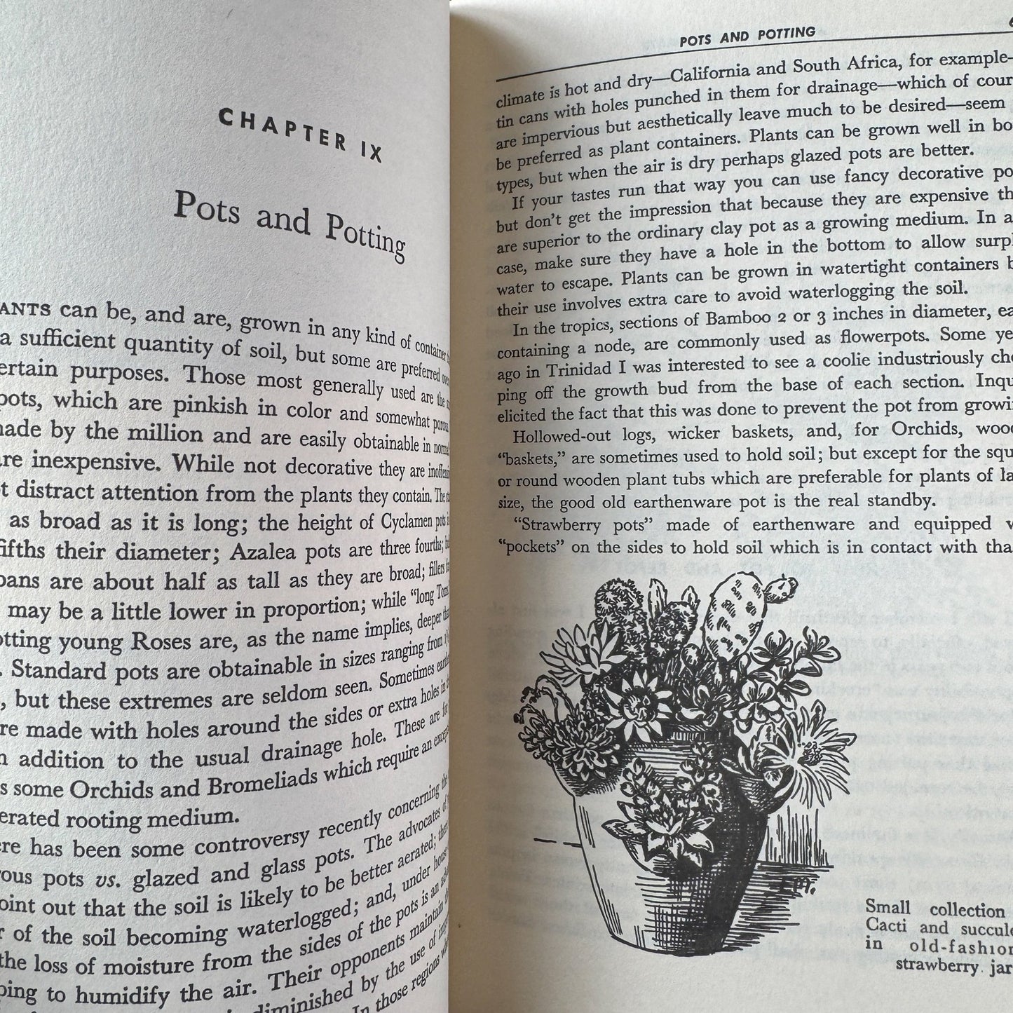 All About House Plants by Montague Free (1946) - Pretty Old Books