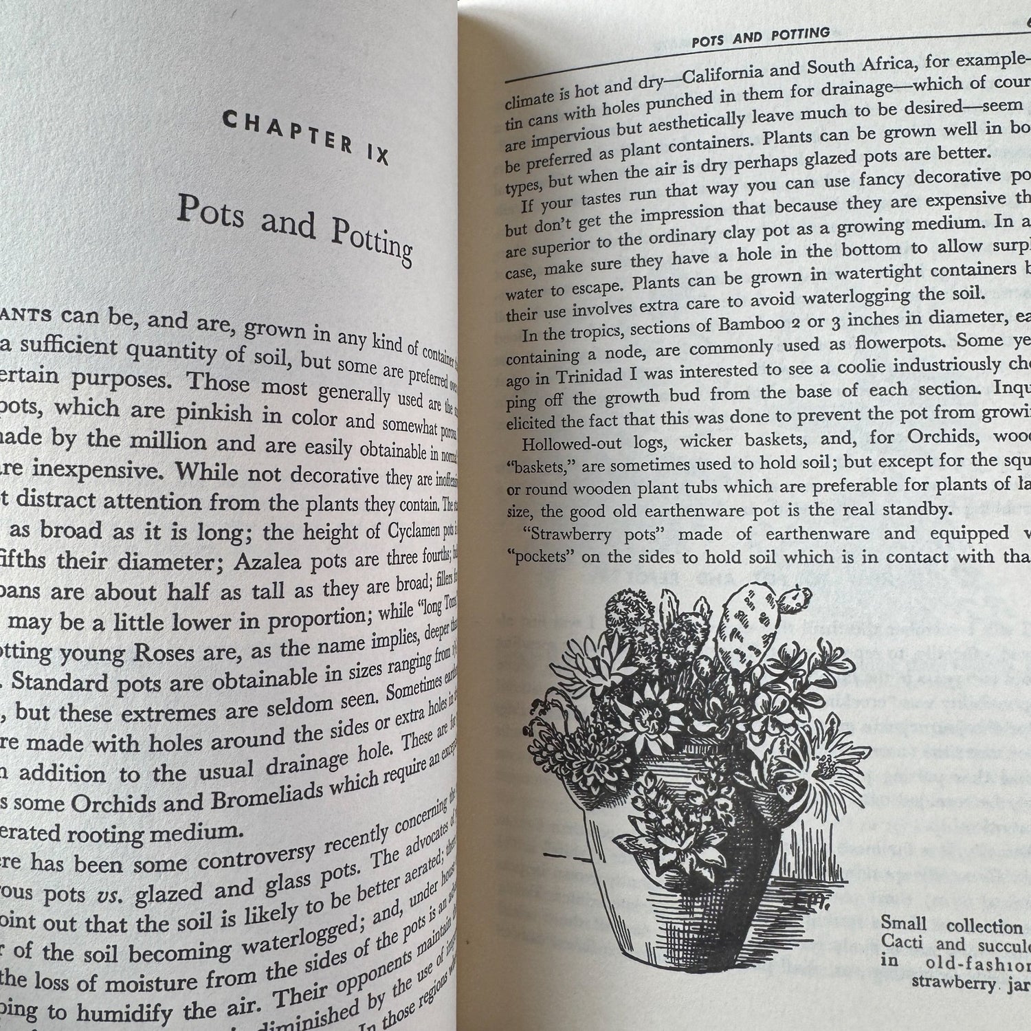All About House Plants by Montague Free (1946) - Pretty Old Books