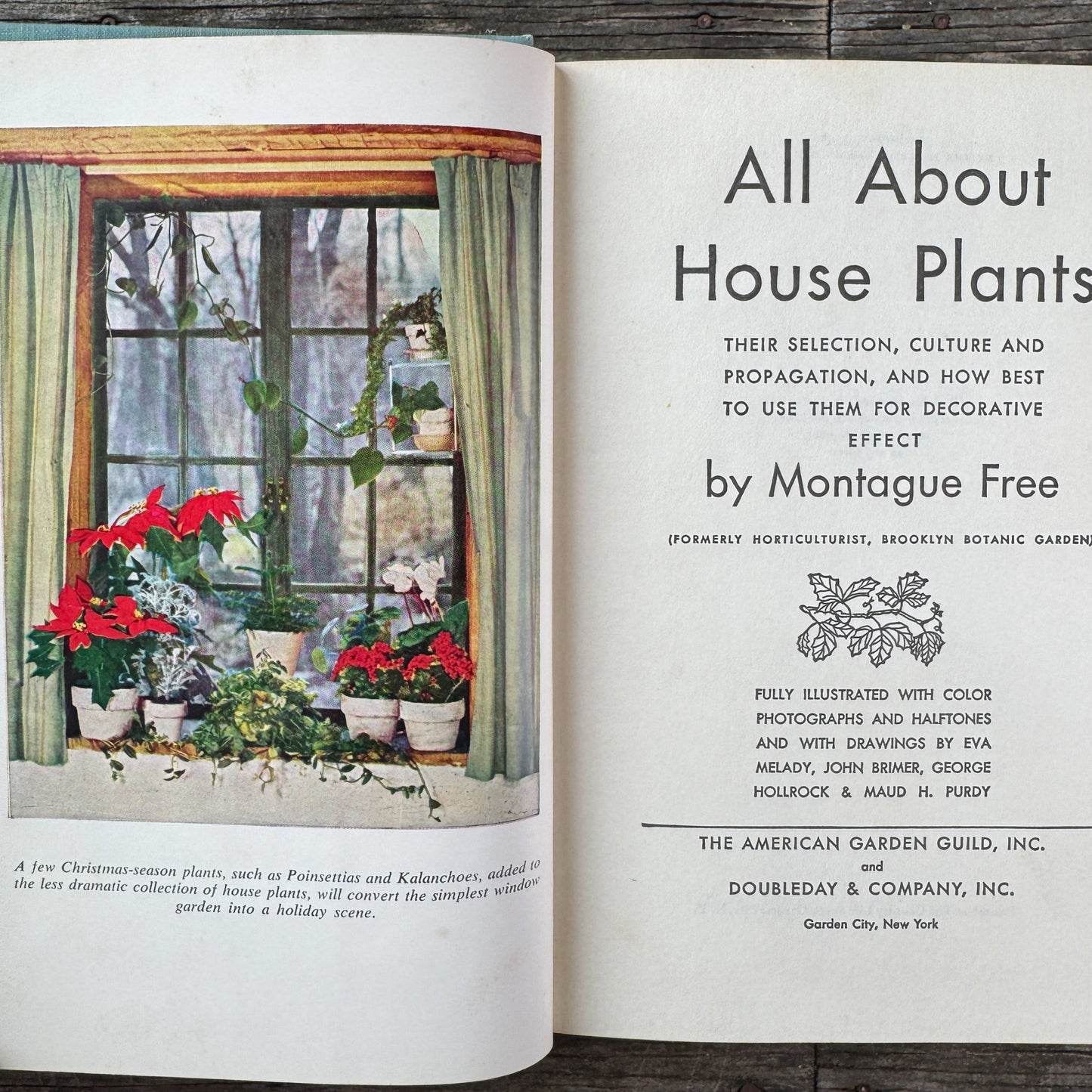 All About House Plants by Montague Free (1946) - Pretty Old Books