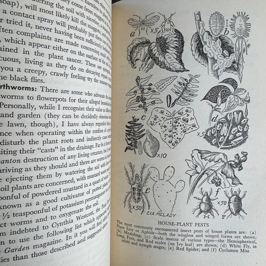 All About House Plants by Montague Free, 1948 - Pretty Old Books