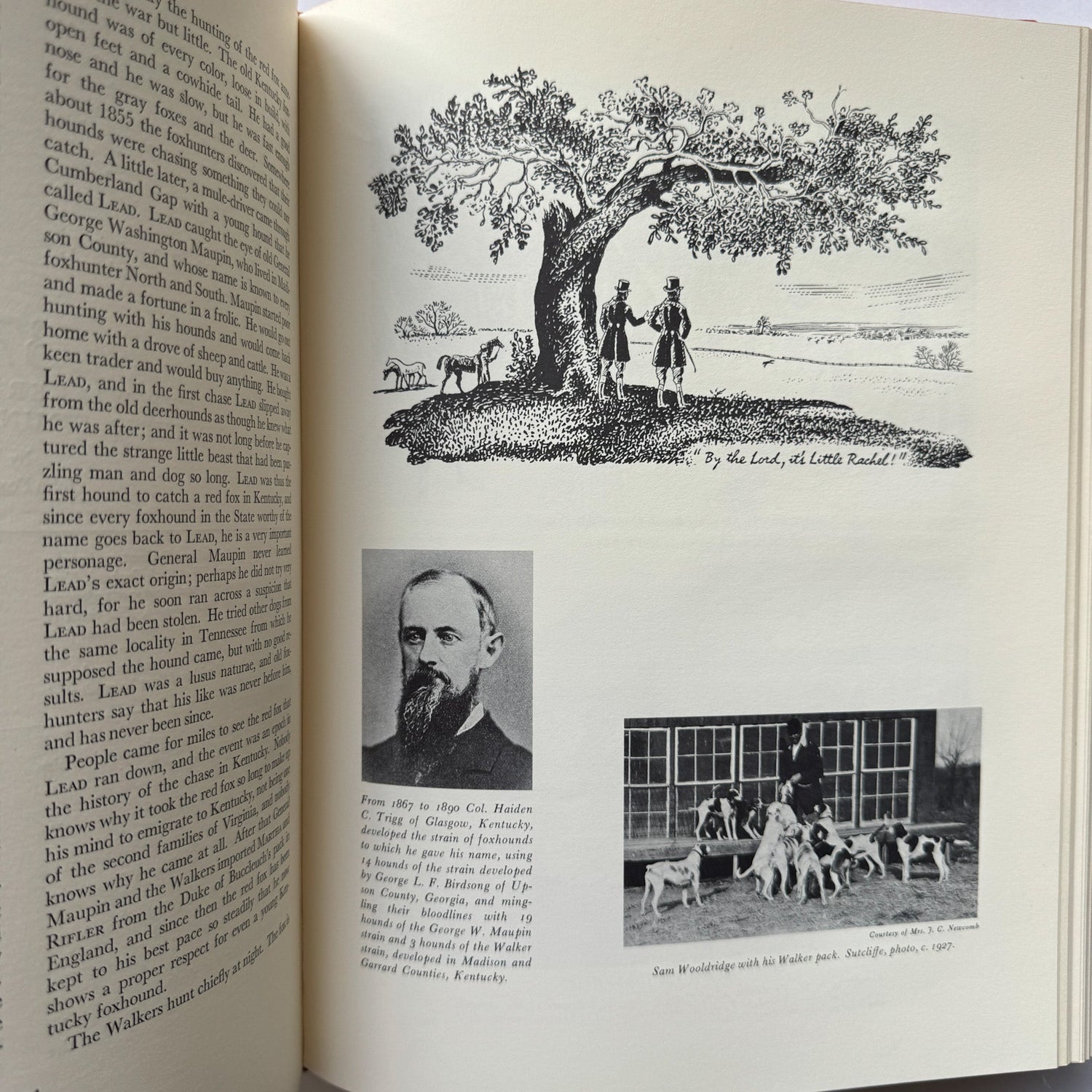 American Foxhound, Fox Hunting Set of 2, 1968 Oversized Books - Pretty Old Books