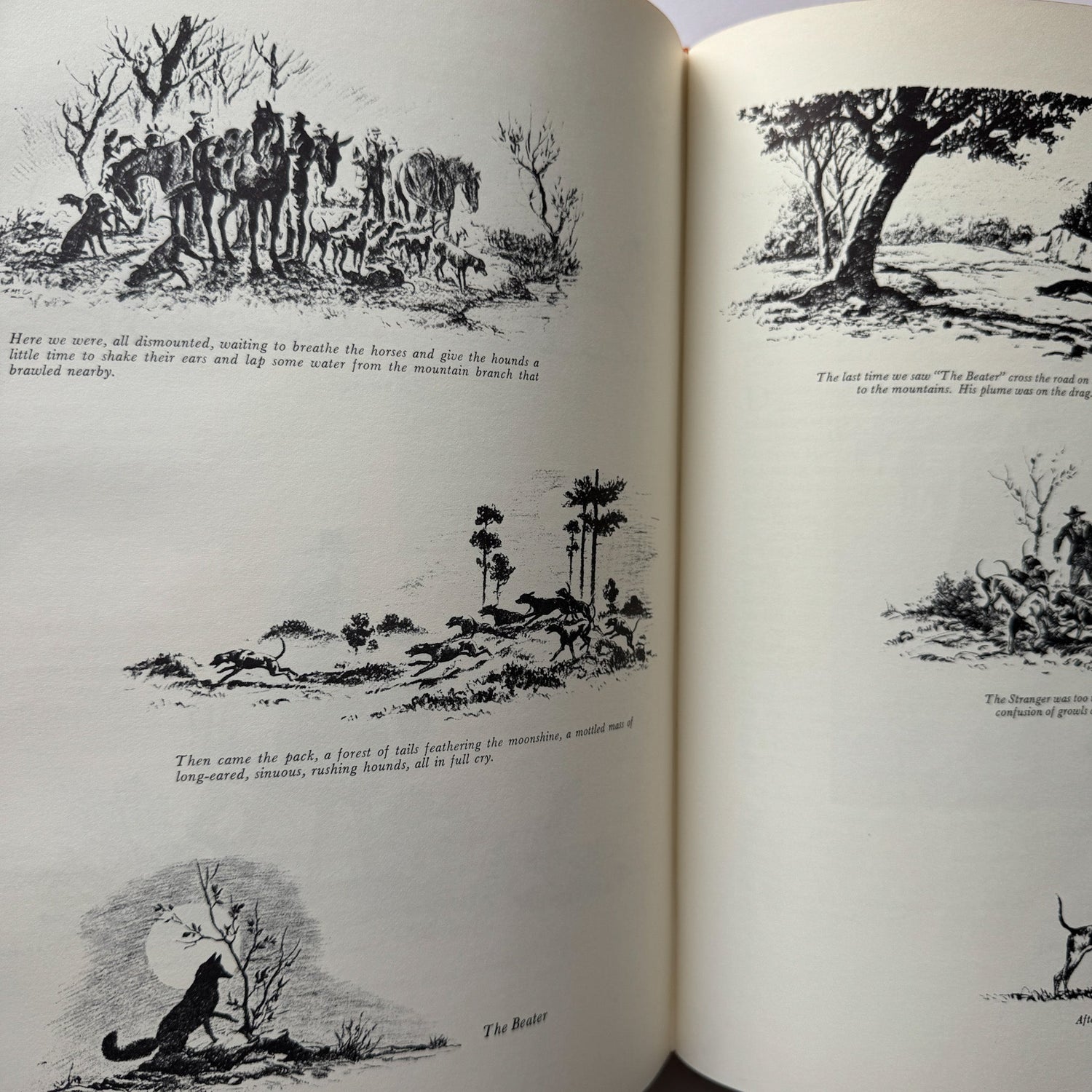 American Foxhound, Fox Hunting Set of 2, 1968 Oversized Books - Pretty Old Books