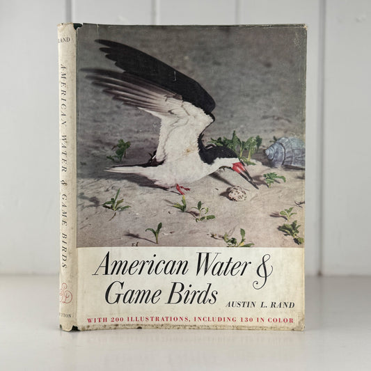 American Water and Game Birds, Austin Rand, 1956, Illustrated in Color - Pretty Old Books
