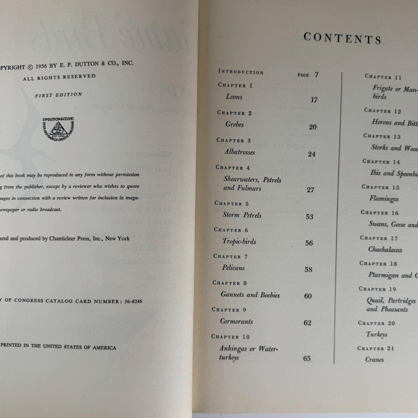 American Water and Game Birds, Austin Rand, 1956, Illustrated in Color - Pretty Old Books