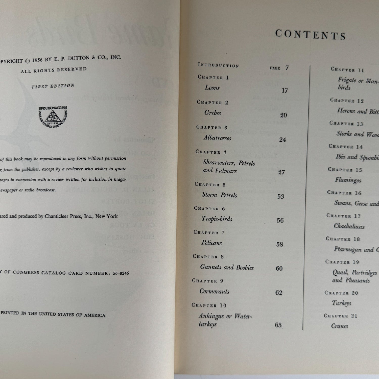 American Water and Game Birds, Austin Rand, 1956, Illustrated in Color - Pretty Old Books