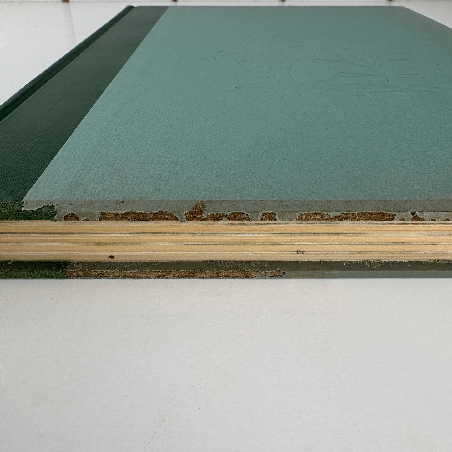 American Water and Game Birds, Austin Rand, 1956, Illustrated in Color - Pretty Old Books