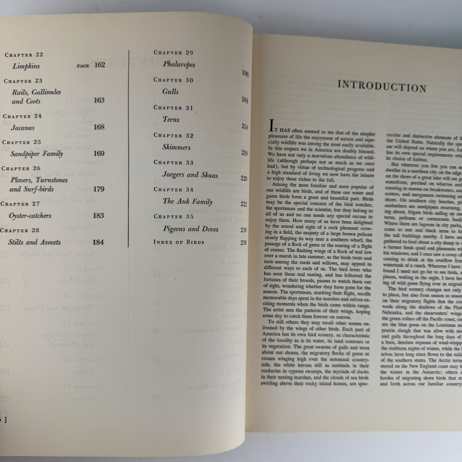 American Water and Game Birds, Austin Rand, 1956, Illustrated in Color - Pretty Old Books