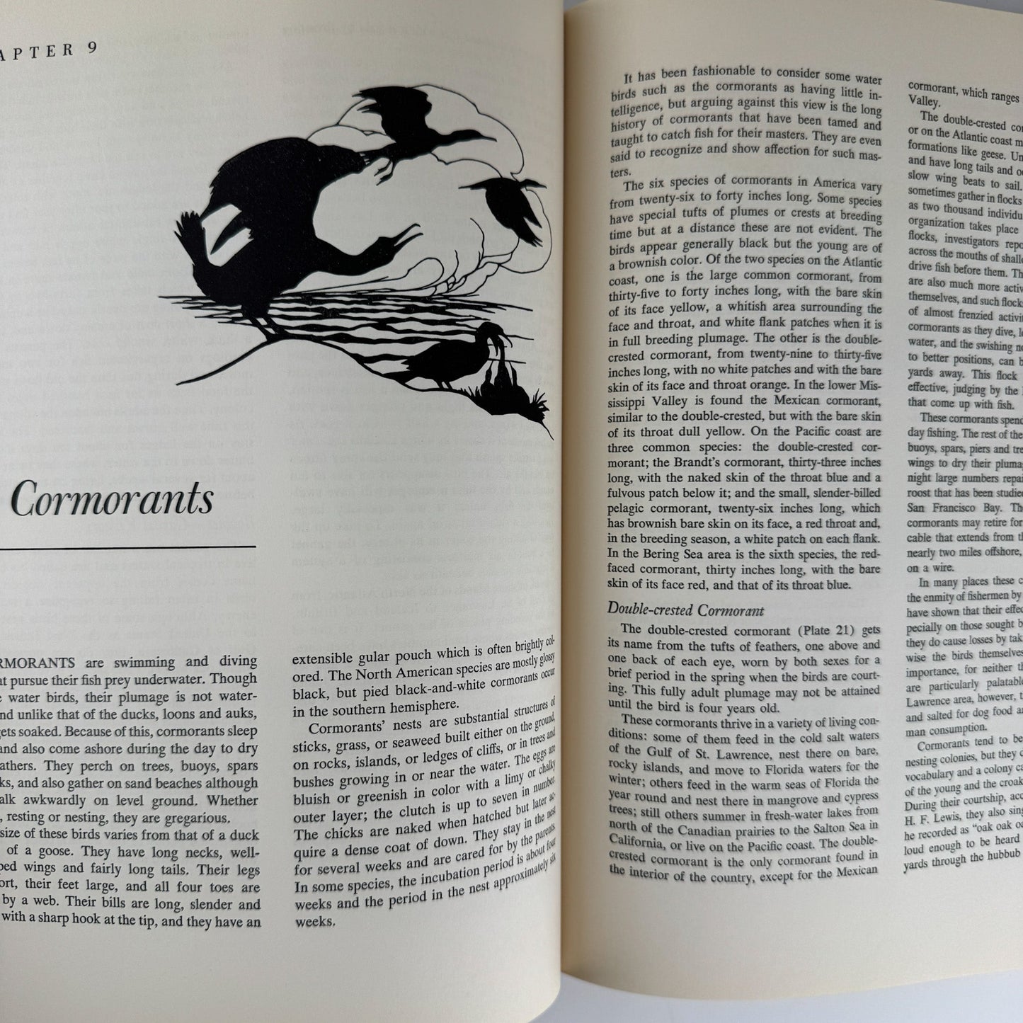 American Water and Game Birds, Austin Rand, 1956, Illustrated in Color - Pretty Old Books